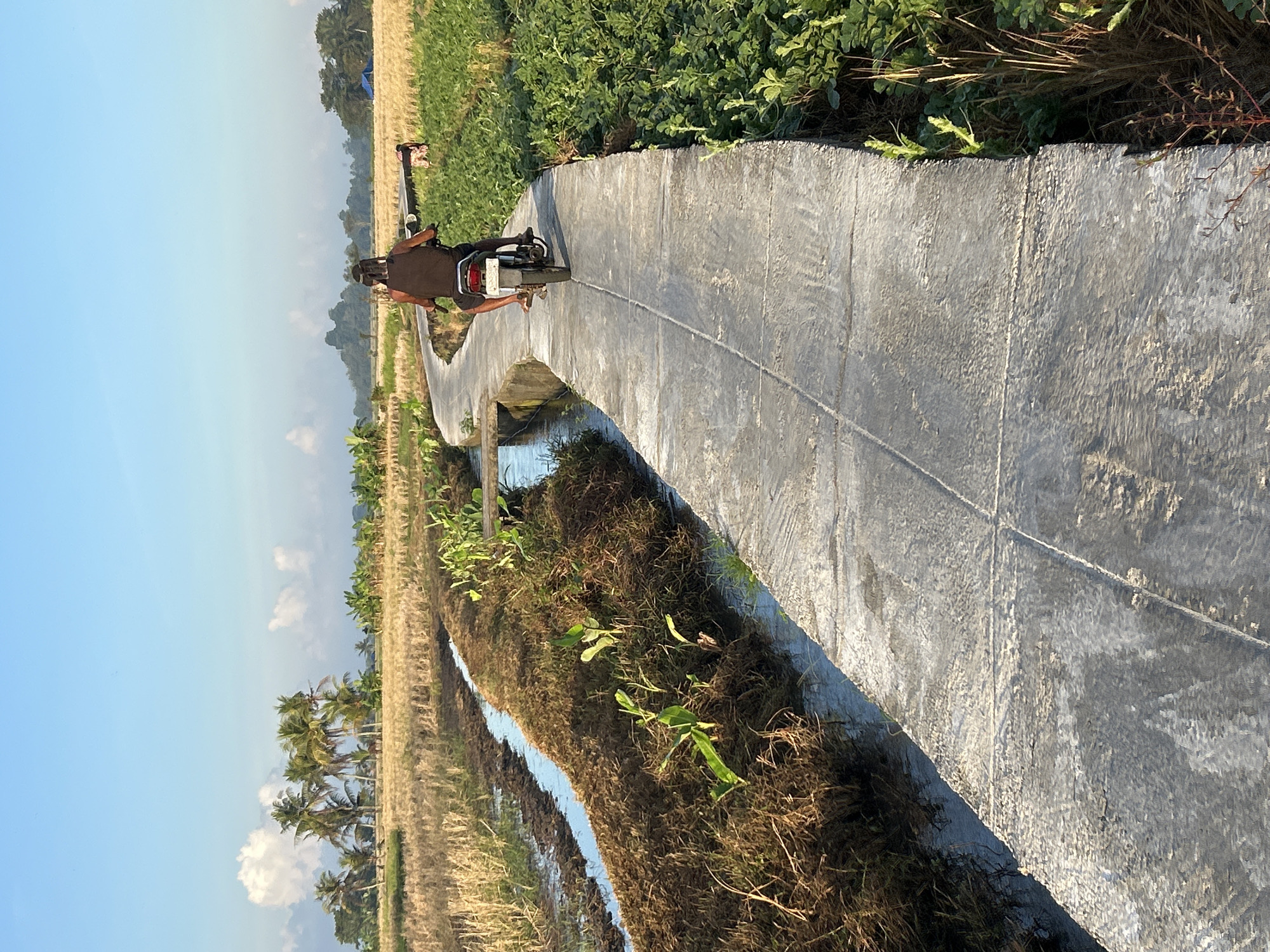 A person rides a motorcycle down a concrete path through a rural landscape in Mengwi, Indonesia. The path is flanked by irrigation ditches and agricultural fields. On the left, the ditches are filled with water, and the adjacent field appears to have been harvested, with dry stalks of grain. On the right, the field is covered with lush green crops. In the distance, palm trees and other vegetation are visible under a clear blue sky with scattered clouds. The sun is shining, casting light and shadows across the scene. The person on the motorcycle is wearing a dark tank top and shorts. They are facing away from the camera, heading down the path. The motorcycle is dark in color, and a small bag or parcel is attached to the back. The overall impression is one of a tranquil, agricultural setting at the beginning or end of the day.