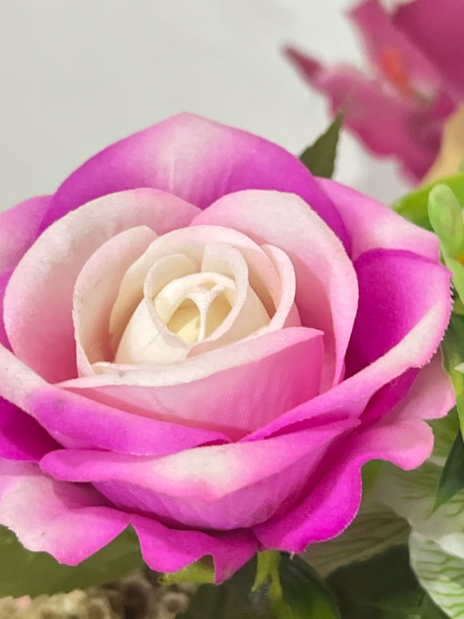 A close-up, vertical, eye-level, medium shot captures a vibrantly colored artificial rose. The rose's petals transition from a deep fuchsia on the outer edges to a soft pink in the middle, culminating in a creamy white center. The lighting is soft and diffused, highlighting the velvety texture of the petals. The background is out of focus, with hints of other artificial flowers in shades of pink and green. The image does not depict any people or specific landmarks, and therefore cannot be localized to Denpasar, Indonesia.