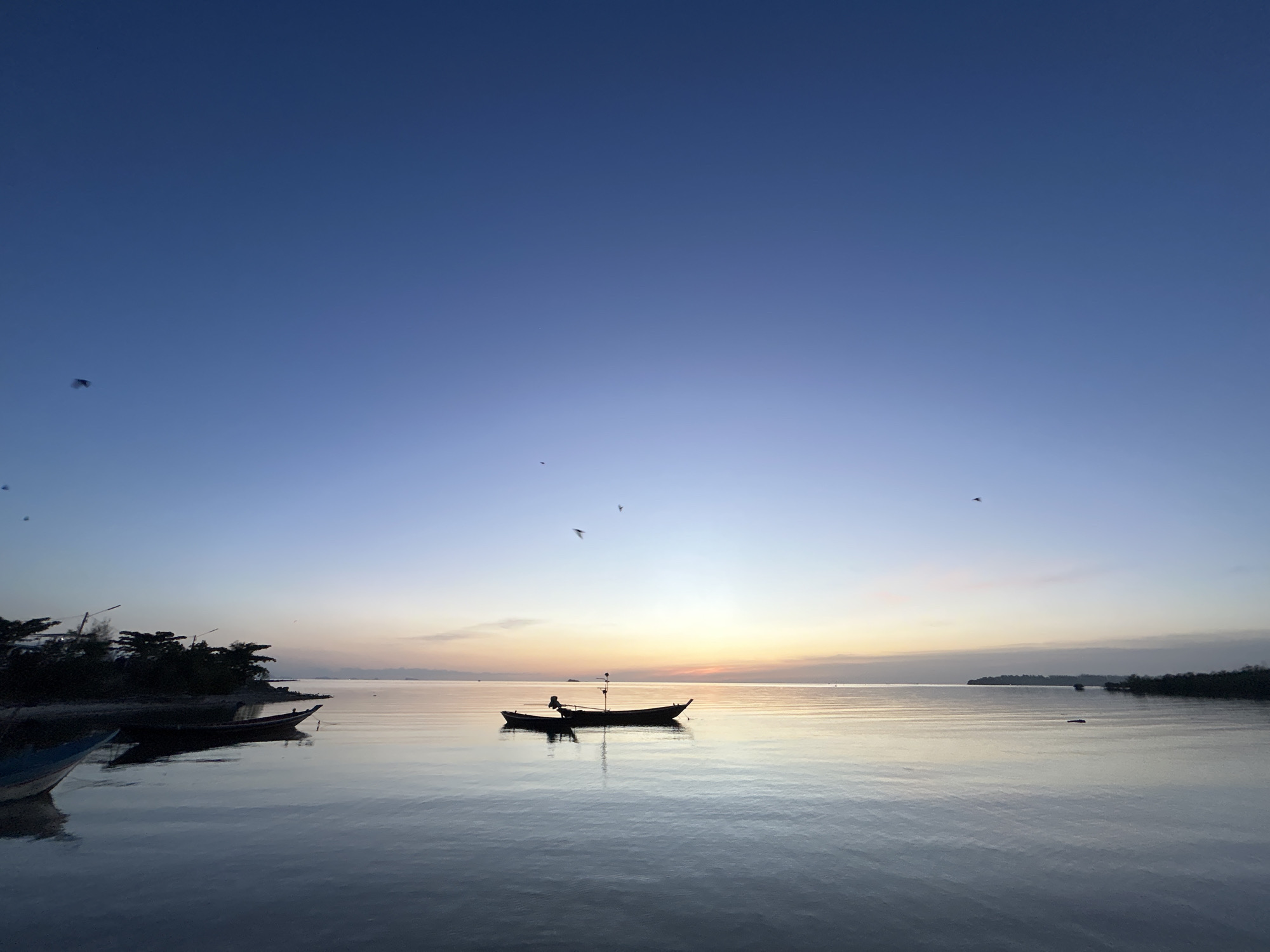 A serene coastal scene unfolds at dusk in the Ko Pha-ngan District, Thailand. The sky transitions from a deep blue at the top to hues of orange, pink, and yellow near the horizon, indicating the setting sun. The calm sea mirrors the sky's colors, creating a tranquil, reflective surface. Several boats are visible: a larger boat with an outboard motor is anchored in the middle ground, accompanied by a smaller boat beside it. In the foreground, another boat is partially visible on the left. Along the left edge of the image, a lush, dark silhouette of trees and land suggests the coastline. A few birds are captured in flight against the vast expanse of the sky. The overall atmosphere is peaceful and still, typical of a tropical evening by the water.