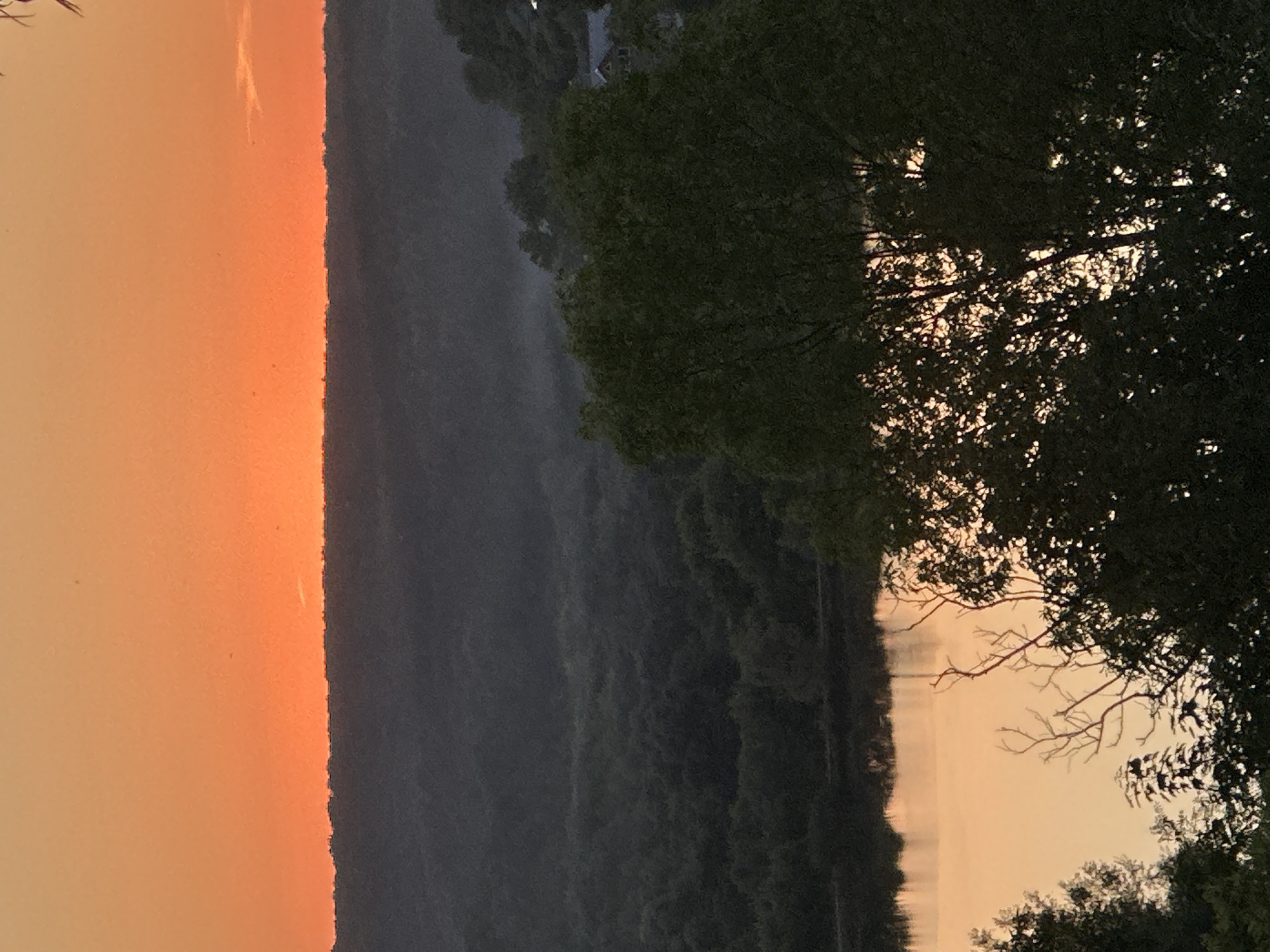 An aerial perspective captures the serene beauty of a sunset over a body of water in Makiv, Ukraine. The sky is painted with vibrant hues of orange and yellow, transitioning into a darker, hazy silhouette of rolling hills in the distance. The foreground is dominated by lush, dark green trees, with the bare branches of a silhouetted tree reaching upwards, creating a dramatic contrast against the glowing sky. The water reflects the warm colors of the sunset, creating a shimmering surface that mirrors the sky and the surrounding foliage. The overall scene evokes a sense of peace and tranquility.