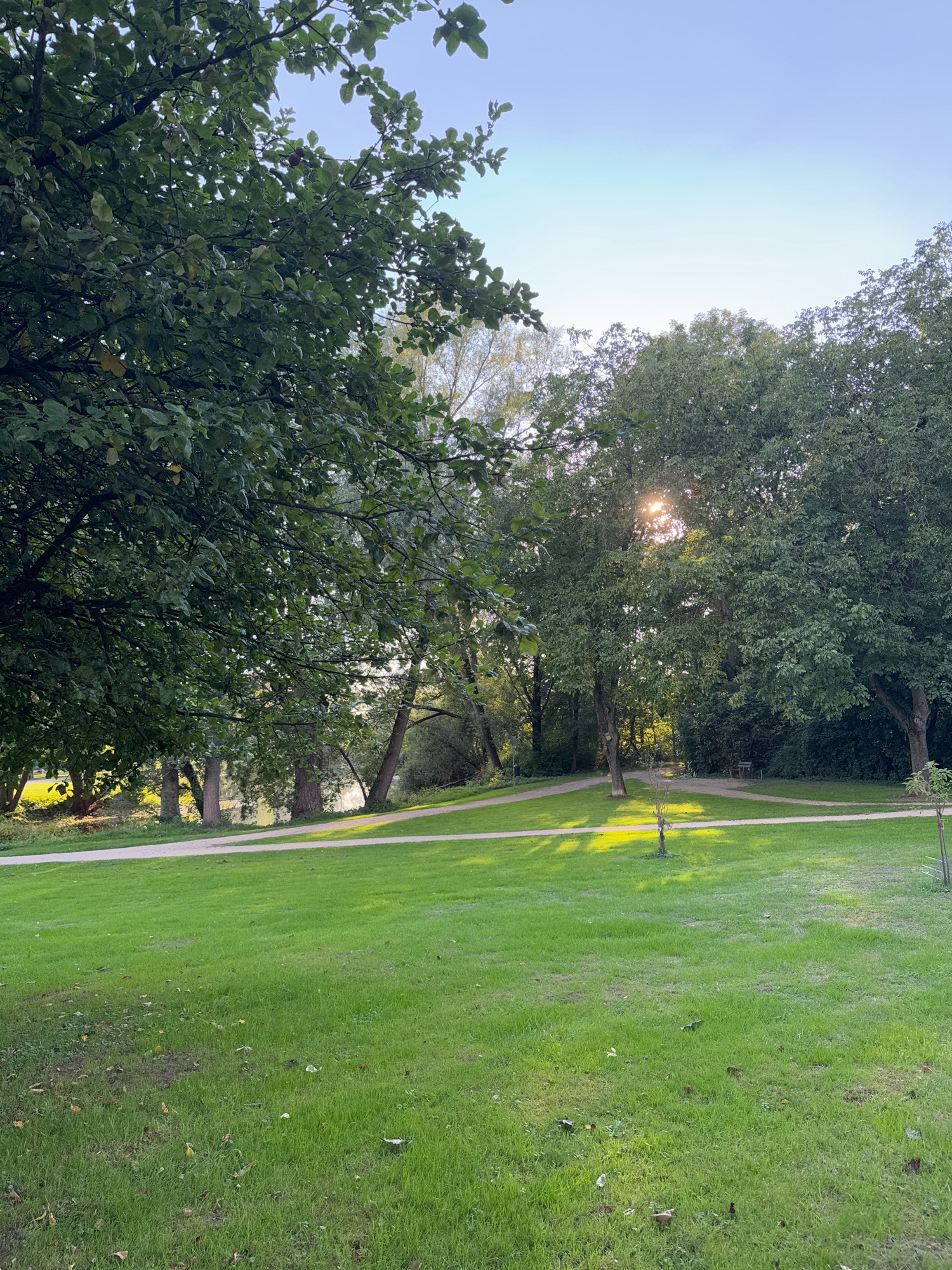 The image shows a park scene in Cleves, Germany, with lush green grass and mature trees. A paved pathway winds through the park, illuminated by dappled sunlight filtering through the leaves. In the background, more trees form a dense backdrop, and a hint of water can be seen, suggesting the presence of a pond or river. The sky is a clear blue with a gradient towards lighter hues near the horizon. There are no people or animals visible in the scene. The overall impression is one of tranquility and natural beauty within an urban setting.