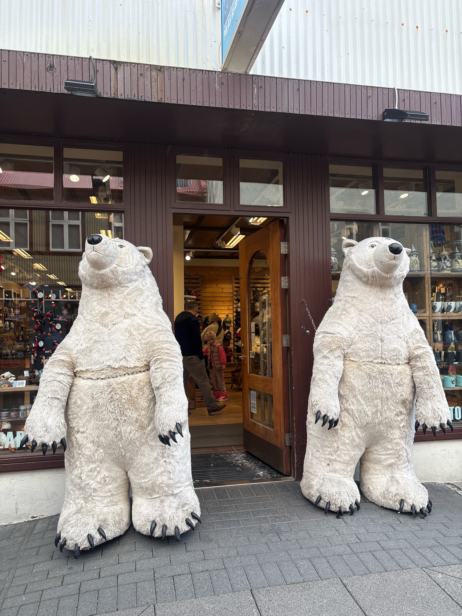 Two oversized polar bear costumes are standing on a paved sidewalk in front of a storefront. The building has dark brown wooden paneling above large windows. The storefront appears to be a shop selling various goods, with items visible inside through the windows and open doorway. The bear costumes are plush and white with black claws. The bear on the left is positioned facing forward, while the bear on the right is slightly angled away from the viewer. In the background, a few people are visible entering or exiting the store. The lighting suggests it is daytime. This scene is located in Reykjavik, Iceland.