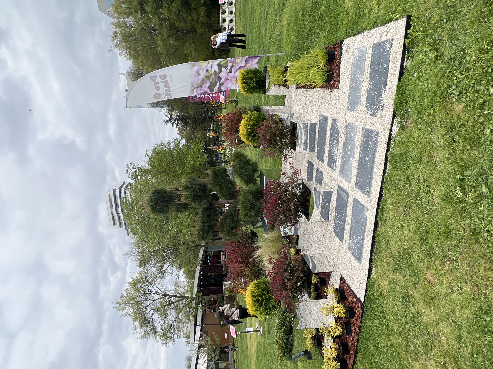 This image depicts an outdoor garden exhibition or landscaped display on an overcast day. The central feature is a decorative pathway composed of light-colored gravel with integrated darker, rectangular stepping stones, extending from the foreground into the mid-ground.
Flanking the pathway and arranged in beds are various plants and shrubs, showcasing a range of colors including vibrant greens, yellow-greens, and deep red or burgundy hues. Many of these plants are in black plastic pots or surrounded by brown mulch, with some exhibiting carefully manicured topiary shapes.
In the mid-ground, a tall white banner or flag is prominently displayed. It features an image of purple flowers and mirrored text. The visible text in English characters appears as "pro Bisnes" (likely "BioSens Pro" or similar when unmirrored), and in Cyrillic, "РАЗСАДНИК ЗА ЗДРАВИ," which translates to "Nursery for Healthy." Nearby, two women are seen standing, possibly observing the display or taking a photograph, with another individual further in the background.
The setting includes expansive green grassy areas, mature trees with green foliage, and modern white buildings with balconies visible in the distance. A white decorative wall with circular cutouts is also present in the mid-ground. The scene suggests a public event or show dedicated to horticulture and landscape design, taking place in Burgas, Bulgaria.