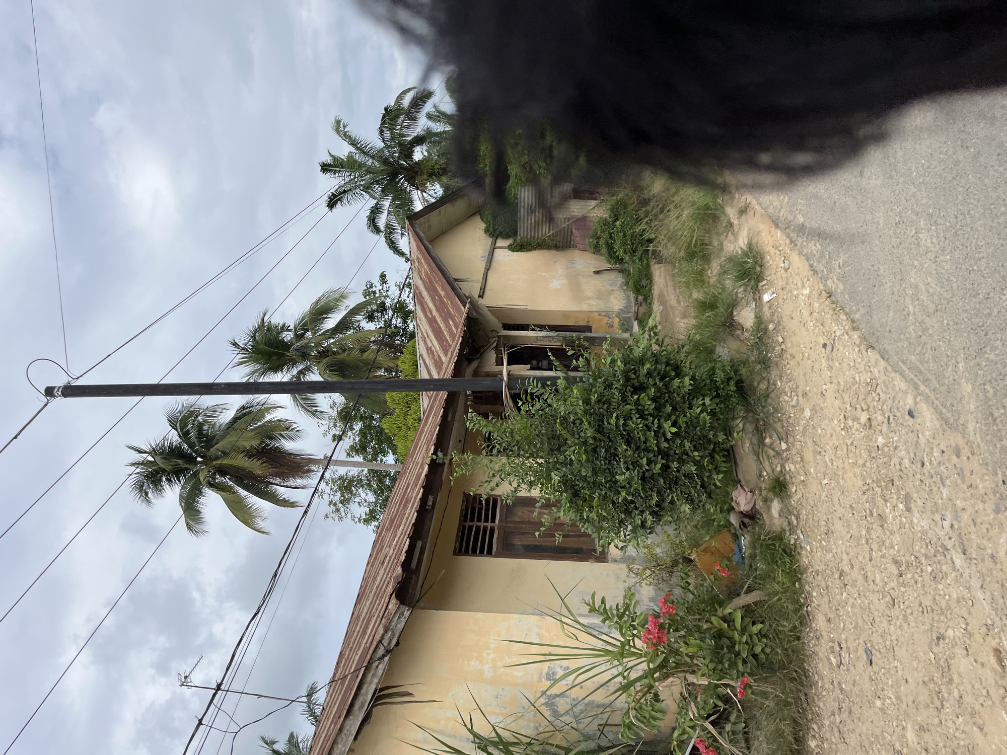 In Sukaramai Dua, Indonesia, an exterior, eye-level shot captures a weathered, single-story house with a corrugated metal roof and pale yellow walls. The house has wooden window frames and appears to be in a state of disrepair. Lush green vegetation, including a prominent bush and flowering plants with pink blossoms, surrounds the front of the house. A dirt road runs alongside the property, and a paved road is visible in the foreground on the right. Several power lines crisscross the cloudy sky, supported by a dark utility pole. Coconut palm trees are scattered throughout the background. The scene is partially obscured on the right by a dark, blurry mass that appears to be a person's hair. There are some items, possibly trash bags and debris, on the ground near the house.