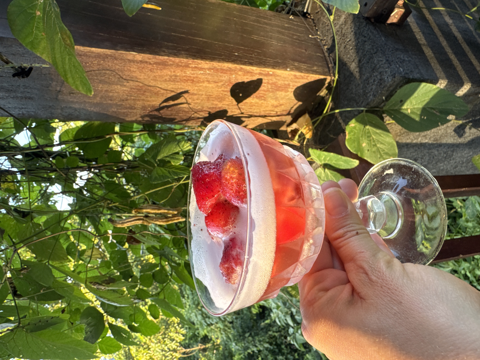 A hand is holding a coupe glass filled with a pink liquid and cut strawberries, outdoors. The background includes lush green foliage, possibly vines, and a weathered wooden structure, suggesting a garden or natural setting. The location might be Kuta Selatan, Indonesia, given the request. The focus is on the drink being held up against the natural backdrop.