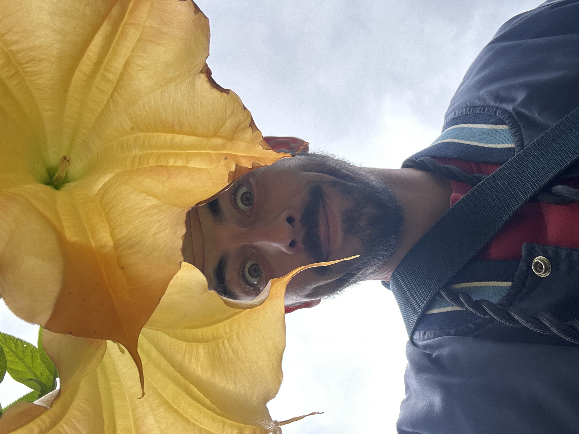 A low-angle shot presents a man standing below the camera, partially obscured by a large, yellow flower in the foreground. The man has fair skin, a dark beard, and is wearing a red and black plaid shirt beneath a navy jacket with light blue and white stripes. A dark-colored strap crosses his torso. The yellow flower occupies the left side of the frame, with its petals partially obscuring the man's face. The sky appears overcast, serving as the backdrop. This image was taken in Budva, Montenegro.