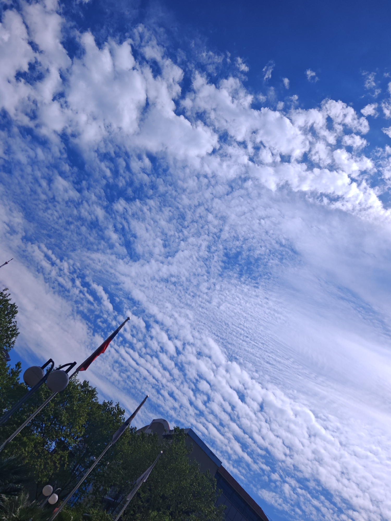 The image presents an upward-angled perspective of a vibrant blue sky adorned with various cloud formations. The upper and central parts of the sky feature a mix of fluffy, detached white clouds, while the mid-to-lower-right displays more extensive, wispier, and scattered clouds, some forming distinct ripple-like or streaky patterns. The blue of the sky is deepest at the top and gradually lightens towards the bottom right.
In the lower-left quadrant, the tops of green trees are visible, extending along the left edge of the frame. Several tall poles rise from the bottom, with two spherical street lamps mounted on poles in the immediate foreground on the left. One prominent pole on the left displays a flag, characterized by dark red and dark blue or black colors. Further to the right, other poles are partially visible, one with a metallic finial at its tip. A modern building with dark, possibly reflective windows, can be seen along the bottom and right edge of the frame, partially obscured by the trees and poles.
The scene depicts a clear, bright daytime with a variety of cloud types. No specific activity or event is taking place. The setting appears to be an outdoor urban or suburban environment, possibly a plaza, park, or campus, suggested by the presence of buildings, street furniture, and manicured trees. There is no visible text.