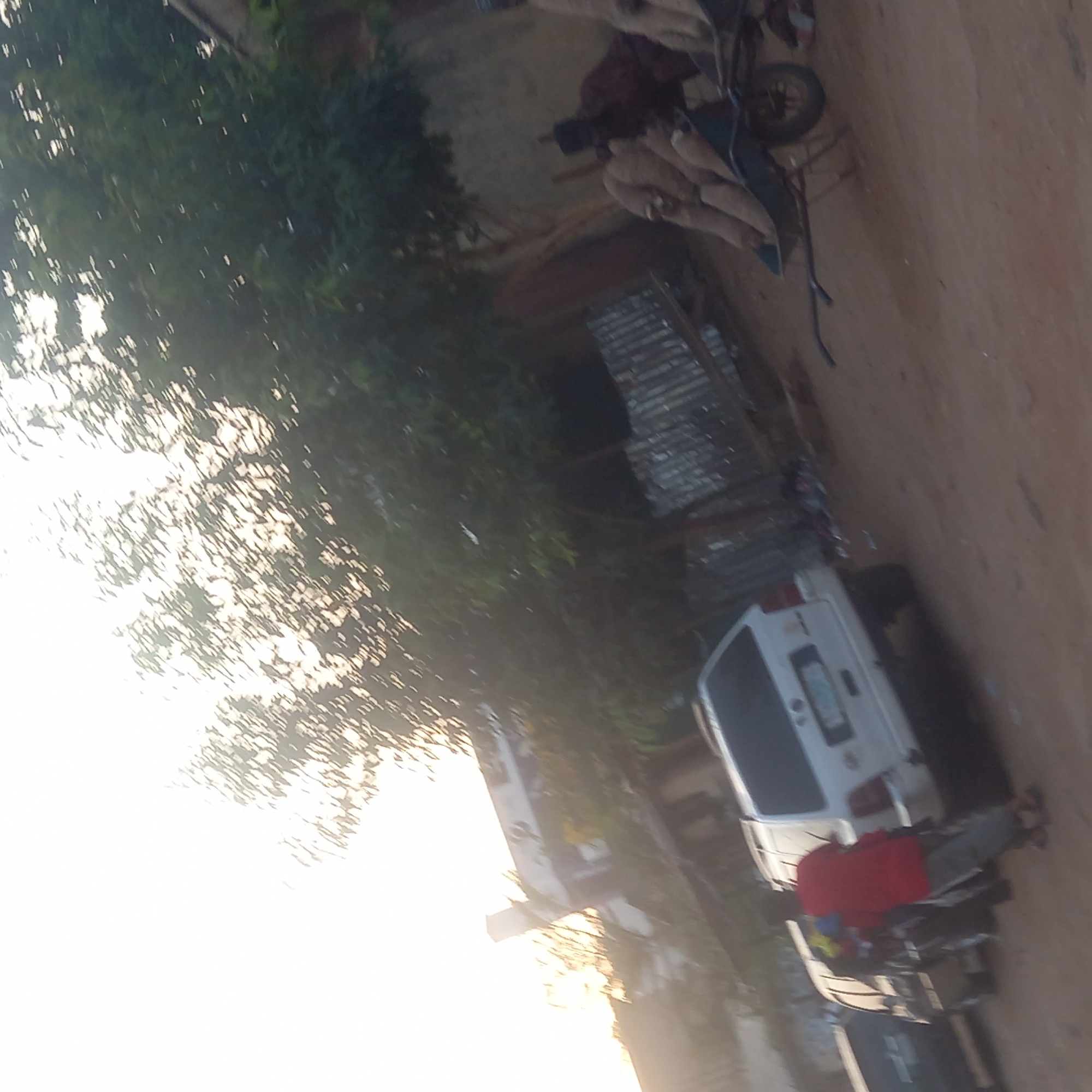 The image, taken in Dadi Riba, Nigeria, shows a dirt road lined with sparse vegetation. A white van is parked on the side of the road. Adjacent to the van is a person wearing a red shirt. Further down the road, a wheelbarrow is positioned near a corrugated metal structure. The overall scene has a rural or semi-urban character.