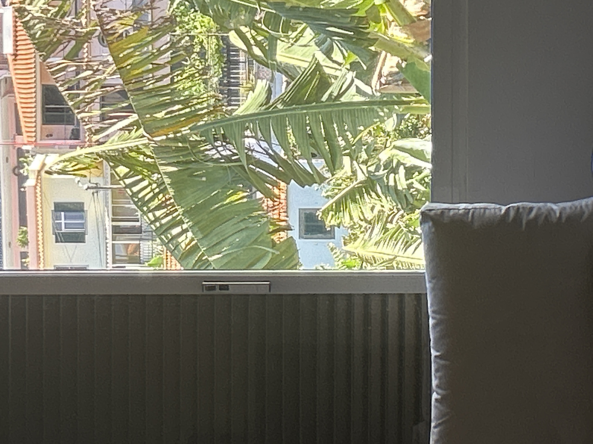 The image captures an interior view through a window, likely from a building in Câmara de Lobos, Portugal. In the foreground, part of a chair or sofa with a grey cushion is visible. The window frames a view of a street with buildings, interspersed with lush green foliage, potentially palm trees. The buildings appear to be of traditional Portuguese architecture, with red-tiled roofs. The scene is brightly lit, suggesting a sunny day.