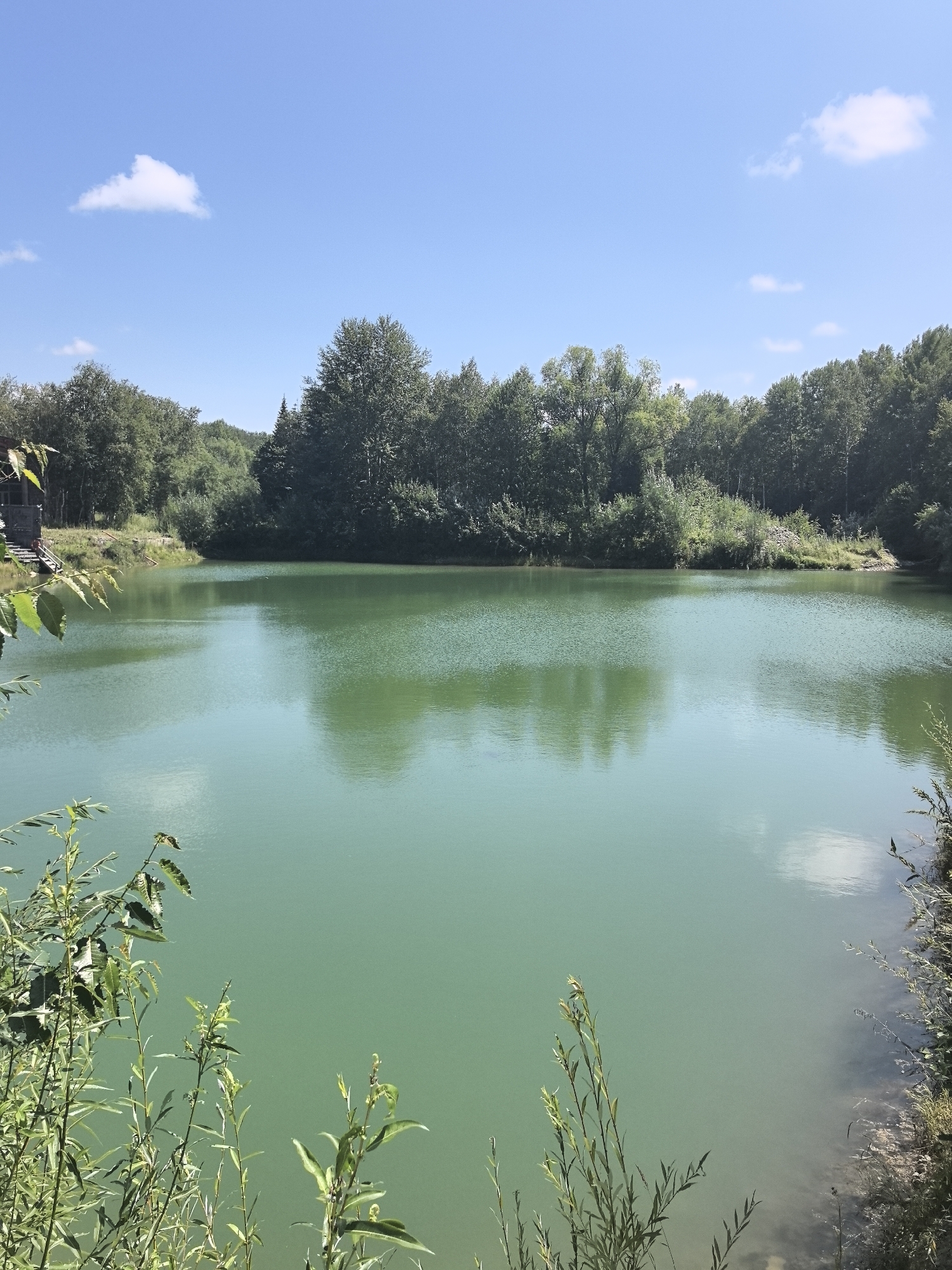 The image depicts a serene natural landscape, likely a lake or pond, located in the city of Solnechnyi, Russia. The water is a striking turquoise color, reflecting the clear blue sky above, which is dotted with a few wispy white clouds. Dense green foliage, consisting of various trees and bushes, lines the shore, creating a lush backdrop. In the foreground, on the left side of the frame, there is a glimpse of a building, possibly a house or a cabin, with wooden steps leading down towards the water. The vegetation on the left also includes tall, slender plants with delicate leaves, adding a touch of wildness to the scene. The overall impression is one of tranquility and natural beauty.