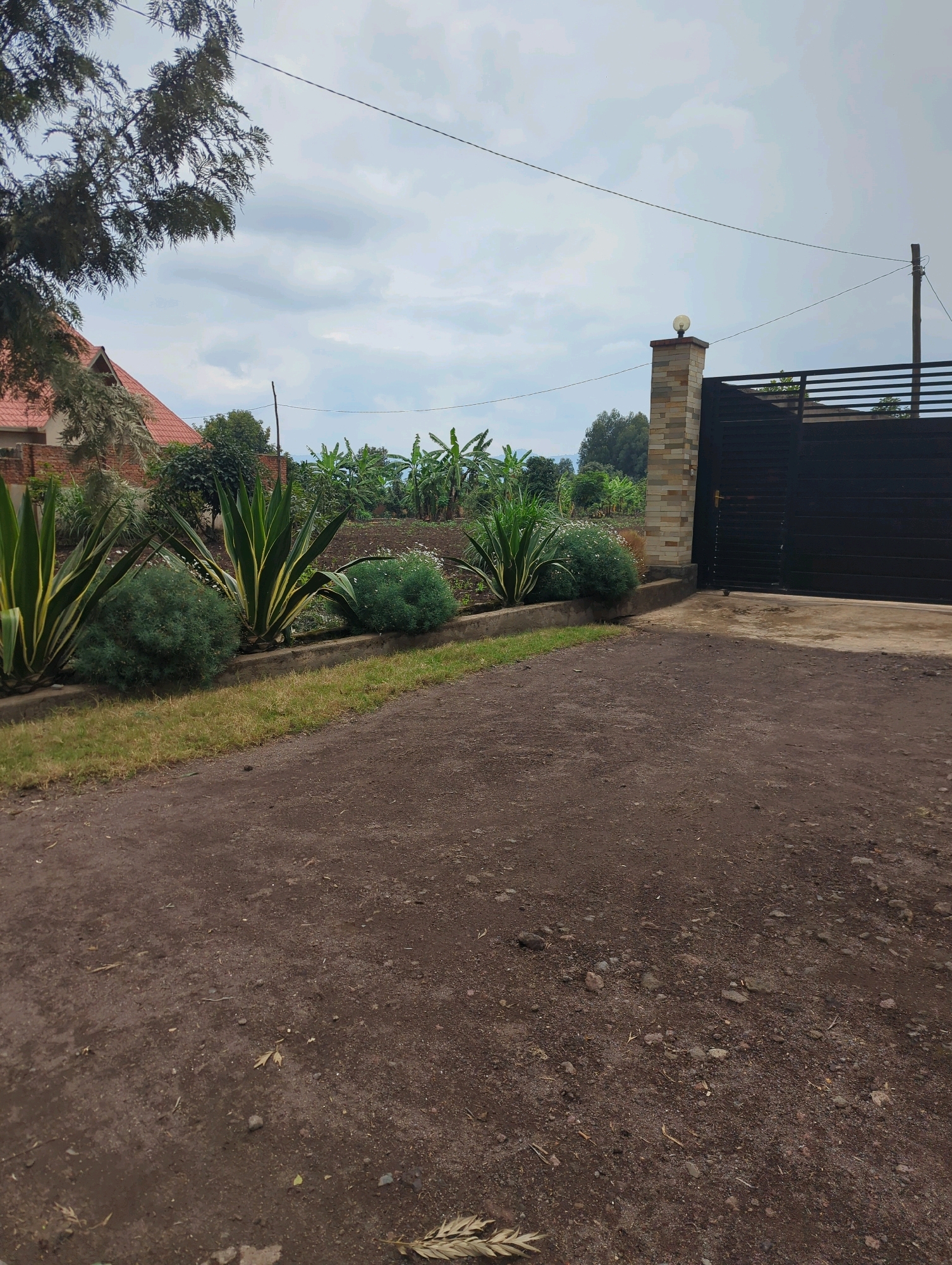 This is a medium-shot, eye-level, outdoor photograph taken in Musanze District, Rwanda, of a dirt driveway leading to a black metal gate. The gate is flanked by a brick pillar topped with a light fixture. To the left of the gate, there is a row of landscaping featuring agave plants and rounded green bushes. In the background, there are banana trees and a red-tiled roof of a building. The sky is overcast with clouds.