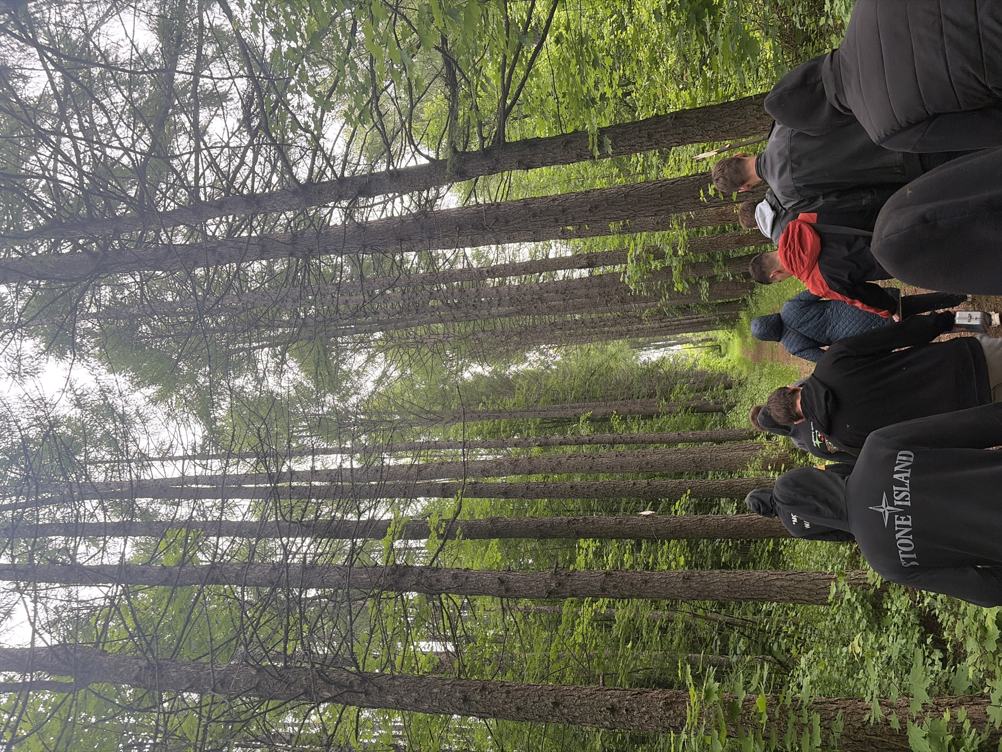The image depicts a group of at least six individuals walking along a narrow, unpaved path through a dense forest in Красные Баки, Russia. Most subjects are seen from behind, dressed in dark, casual clothing, including jackets and hoodies. They appear to be on a leisurely walk or hike, moving deeper into the woods.
The scene is dominated by numerous tall, slender trees, possibly conifers, with rich green foliage concentrated in the upper canopy. The trees line the path closely, creating a natural, tunnel-like effect. The ground is covered with green undergrowth and fallen leaves. The ambient light is diffuse and bright, suggesting an overcast daytime sky, as no harsh shadows are present.
Notable details include the clothing worn by the individuals. On the back of a black hoodie in the foreground, the brand name "STONE ISLAND" is clearly visible in white, along with its compass rose logo. Another individual wears a hoodie with partially visible white text that appears to begin with "MC W/". Further down the path, one person is holding a small, reflective silver object, possibly a container or flask. The overall atmosphere conveyed is one of a peaceful outdoor excursion in a natural setting.