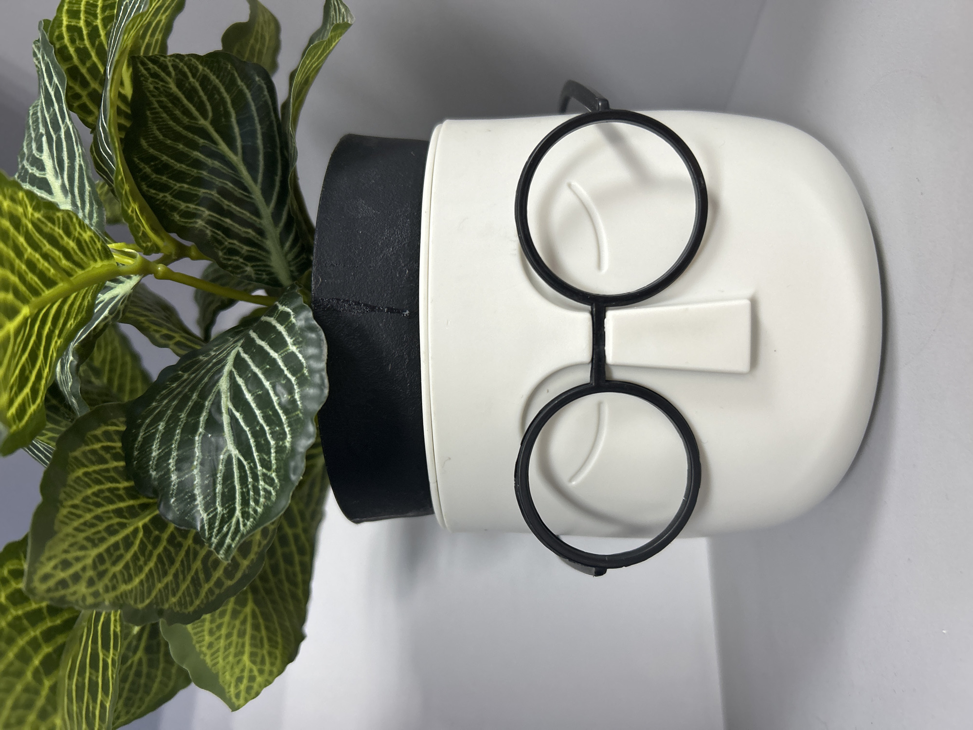 A plant with green and yellow striped leaves is potted in a white, anthropomorphic pot with black rim and black glasses. The background is a white wall and white shelf. The location is not discernible from the provided image.