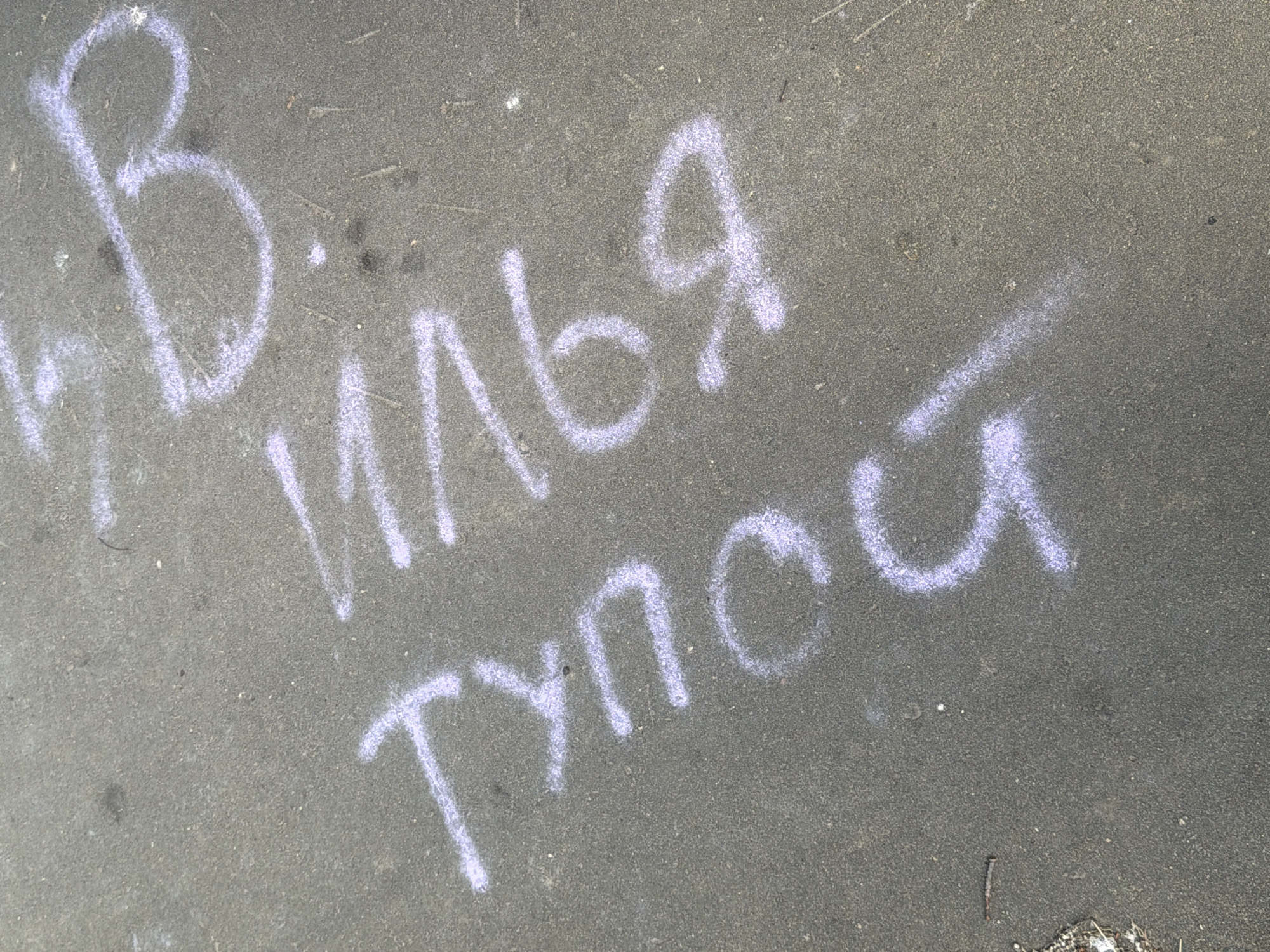 The image displays chalk graffiti on asphalt. The graffiti consists of several characters, seemingly in Russian or a similar Cyrillic-based alphabet. The word "DOUR" appears to be written in larger script, angled from the bottom left to the upper right. To the right of this, and slightly higher, is what appears to be the Cyrillic letter "B". Between these two elements, and slightly above "DOUR", is another word or phrase, with characters that are difficult to fully discern but include what looks like "yn6". The chalk used is a light purple color. The asphalt surface is dark gray and appears to be a road or sidewalk. There is some minor debris on the surface, including a small twig. The lighting suggests it is daytime. The location is identified as Satino-Russkoe, Russia. There are no people or active interactions visible in the image; it is a static scene of graffiti.