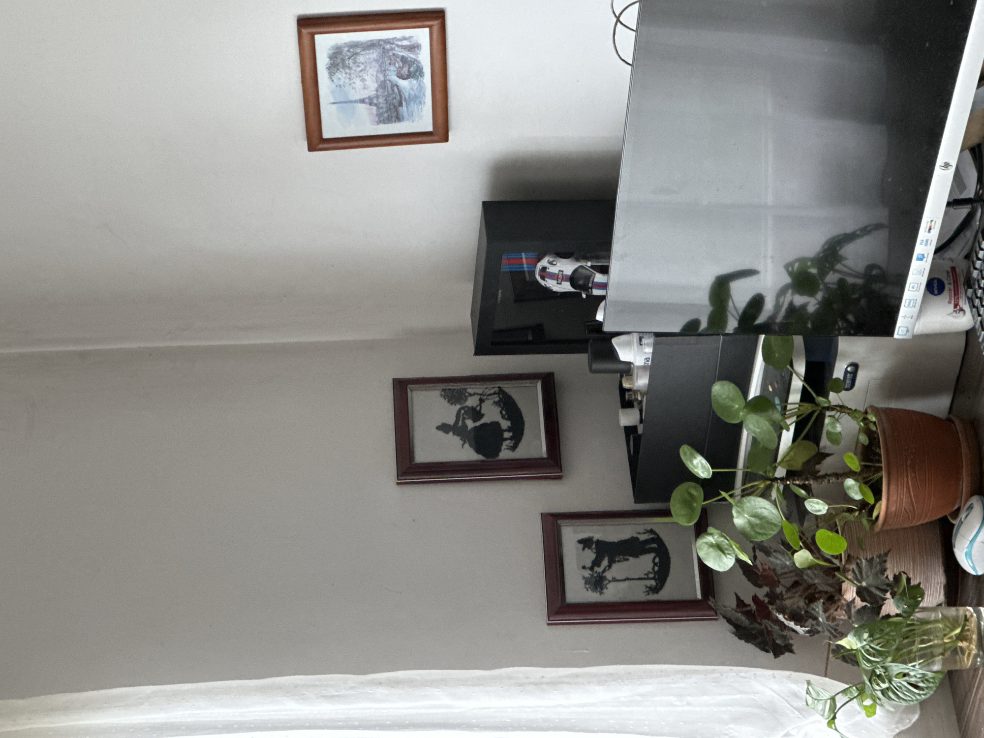 The image shows a room interior with a white wall. There are three framed pictures on the wall. At the top is a landscape picture, below are two silhouette images. A black shelf is visible, holding a model car. A computer monitor sits to the right of the shelf, partially obscuring the view. Two potted plants are to the right of the monitor. A white curtain is at the bottom of the image. The location Zhiten, Bulgaria is not discernible from the image.