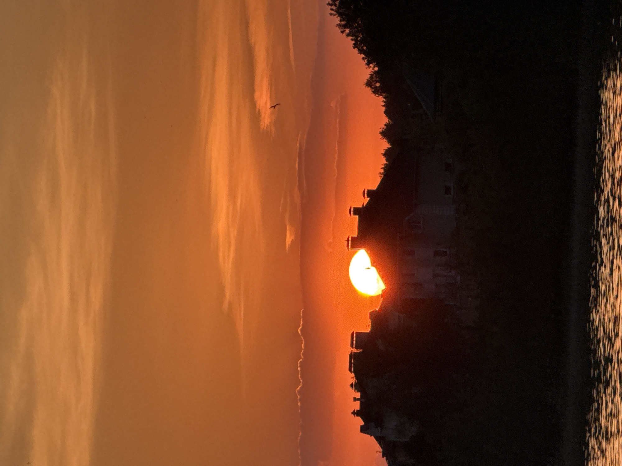 The image depicts a sunset over a body of water, likely a lake or wide river, in Votkinsk, Russia. Silhouetted against the setting sun are buildings and trees along the shoreline. The sun is partially obscured by the structures, creating a radiant glow. The sky is filled with orange hues and thin clouds. The water surface reflects the golden light. A bird is visible in the sky.