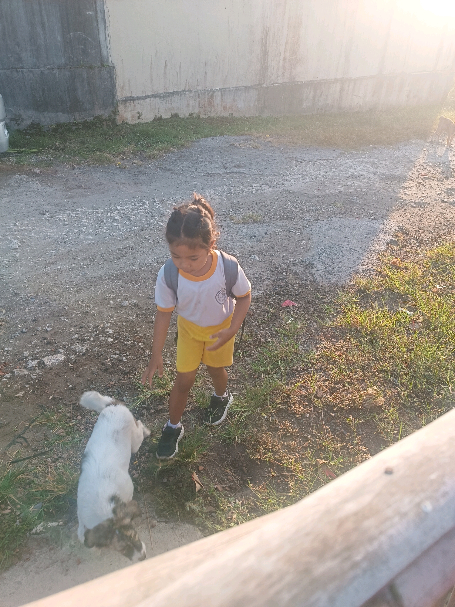 A young girl wearing a white t-shirt with yellow trim and yellow shorts, along with a grey backpack, stands on a gravelly dirt path in Tabanan, Indonesia. She is reaching down towards a small, white and brown dog that is lying on its back, appearing to play. To the right of the girl, grass and dry vegetation grow along the path. In the background, a light-colored wall runs along the edge of the scene, with a concrete structure on the left side. Sunlight casts a warm glow on the scene, with lens flare visible in the upper right portion of the image.