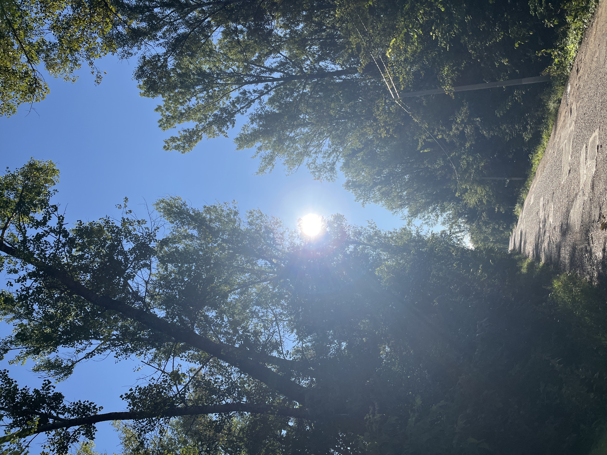 The image depicts a sun-drenched, tree-lined dirt road leading into the distance. The sun is prominently featured, shining brightly through the leaves of tall trees, creating lens flare and dappled light on the road. The road surface appears to be gravel and dirt with some patches of damage. The trees are dense and green, forming a canopy over the road. The sky is clear and blue. There are no people or animals visible in the image. The scene conveys a sense of natural beauty and solitude. The provided information suggests this scene is located in Blagoveshchensk, Russia.