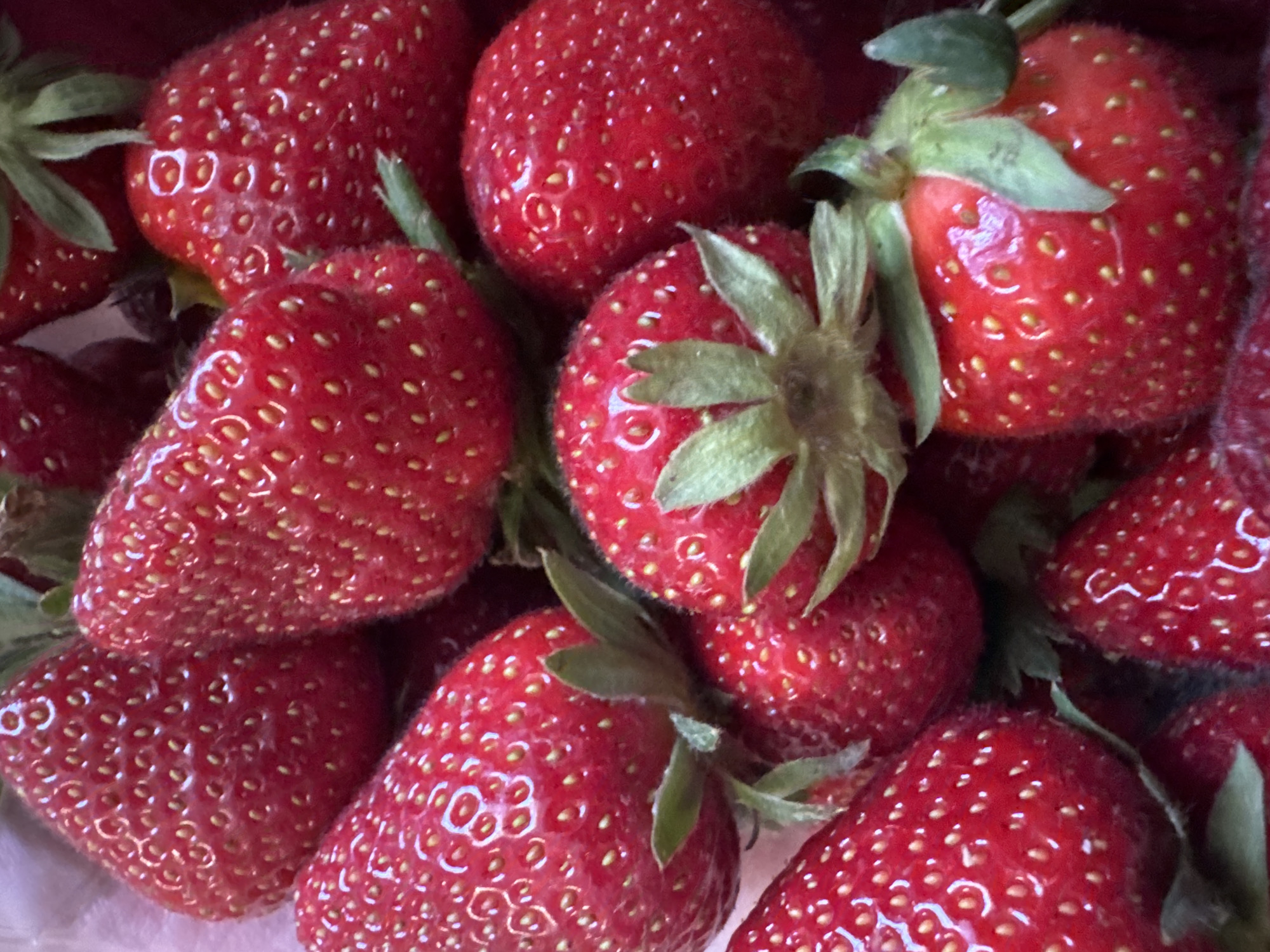 A close-up, overhead shot shows a pile of ripe strawberries. The strawberries are a vibrant red with visible seeds. The stems and leaves on some of the strawberries are a light green color. The lighting in the image highlights the glossy texture of the strawberries. There are no people, animals, or buildings visible in the image. The scene is likely indoors, possibly in a kitchen or market stall. The image does not provide any information about the city of Sochi, Russia, as it is a generic close-up of fruit.