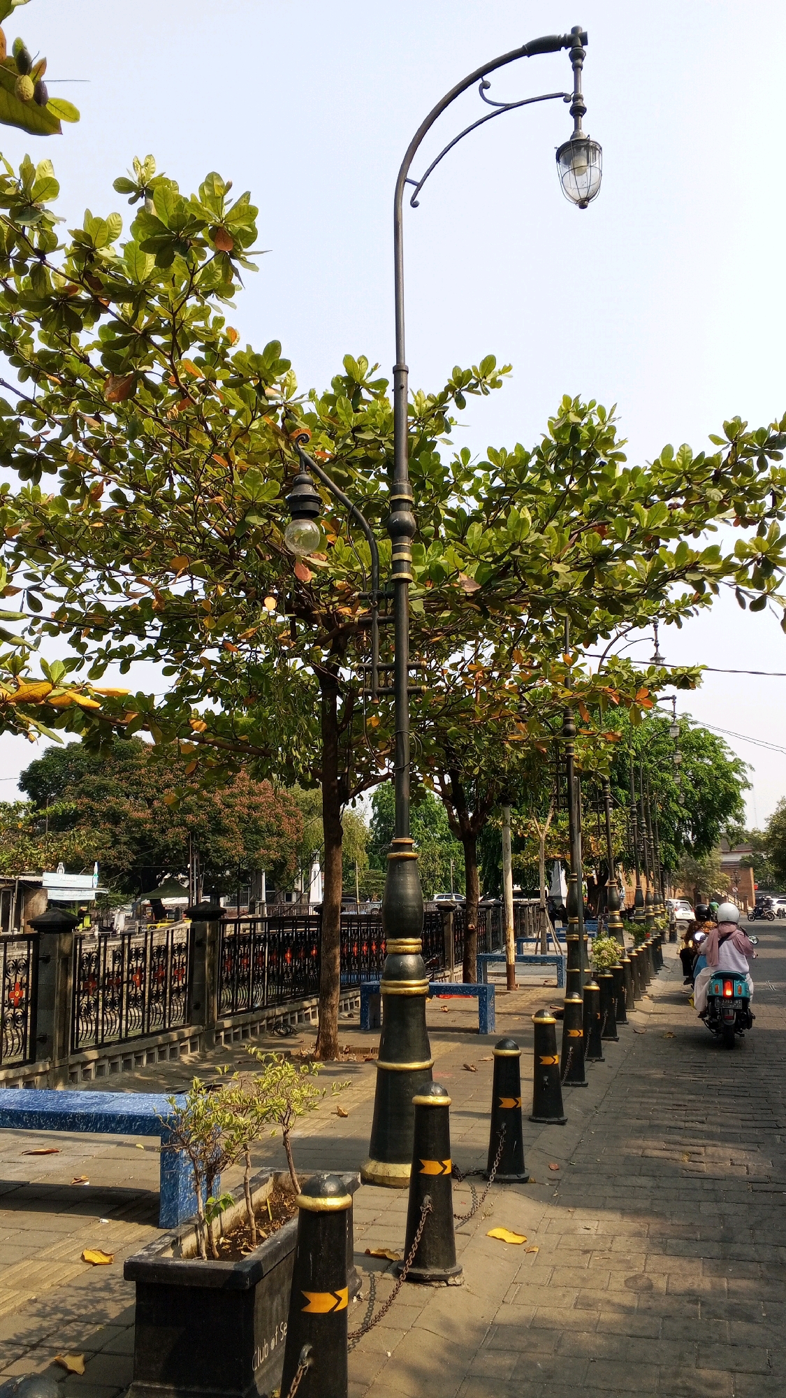 This is an eye-level, medium shot captured on a bright, clear day, showing a sidewalk and street scene in Semarang, Indonesia. The foreground is dominated by a black, ornate lamppost with gold accents, flanked by a row of similar black bollards with gold chevron markings, connected by chains. A large black planter box with a small plant and dried leaves sits to the left. Behind the lamppost and bollards, a decorative black metal fence separates the sidewalk from a street.
Further back, several blue benches are visible, and a line of trees with lush green foliage and some browning leaves creates a canopy over the scene. The street is paved with cobblestones, and a few cars are parked along it. In the distance, a person on a scooter, wearing a white helmet and a pinkish garment, rides away from the camera. The sky is a pale, hazy blue. The overall impression is of a well-maintained urban park or promenade area.