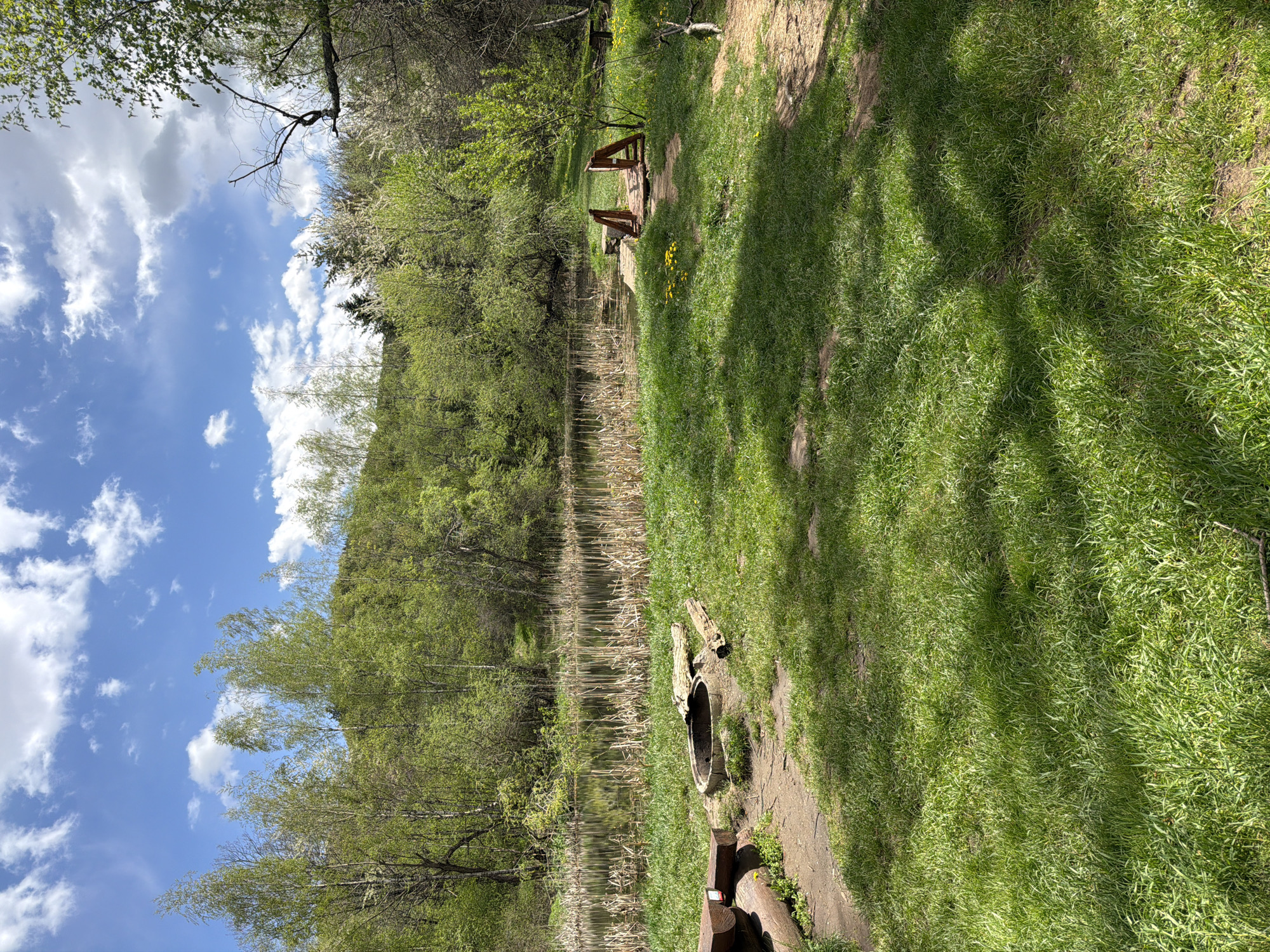 The image depicts a landscape at an unknown location in an unknown city. A body of water, reflecting the sky and adjacent trees, runs along the left side. Lush, green grass dominates the right side, with visible tree shadows. A small, wooden bridge-like structure with railings is seen further along the path, amidst the greenery. Near the edge of the water, there are logs and what appears to be a hollowed-out piece of wood. The sky above is partly cloudy with patches of blue.