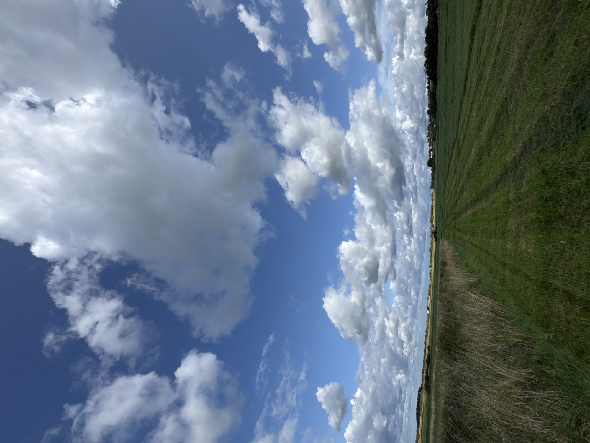 A wide-angle, low-angle shot captures a vast expanse of sky filled with numerous white, fluffy cumulus clouds against a bright blue sky. The bottom portion of the image displays a rural landscape. In the foreground, dry, tall grass lines the left side of a pathway, which transitions into a neatly mown green field on the right. This mown field extends towards the horizon, where a dark green treeline borders the distant landscape. A red tractor is visible in the middle ground, to the right of the mown field, suggesting agricultural activity. The scene is likely set in the countryside of Kempelevo, Russia, given the prompt's context, characterized by open fields and a dynamic sky.