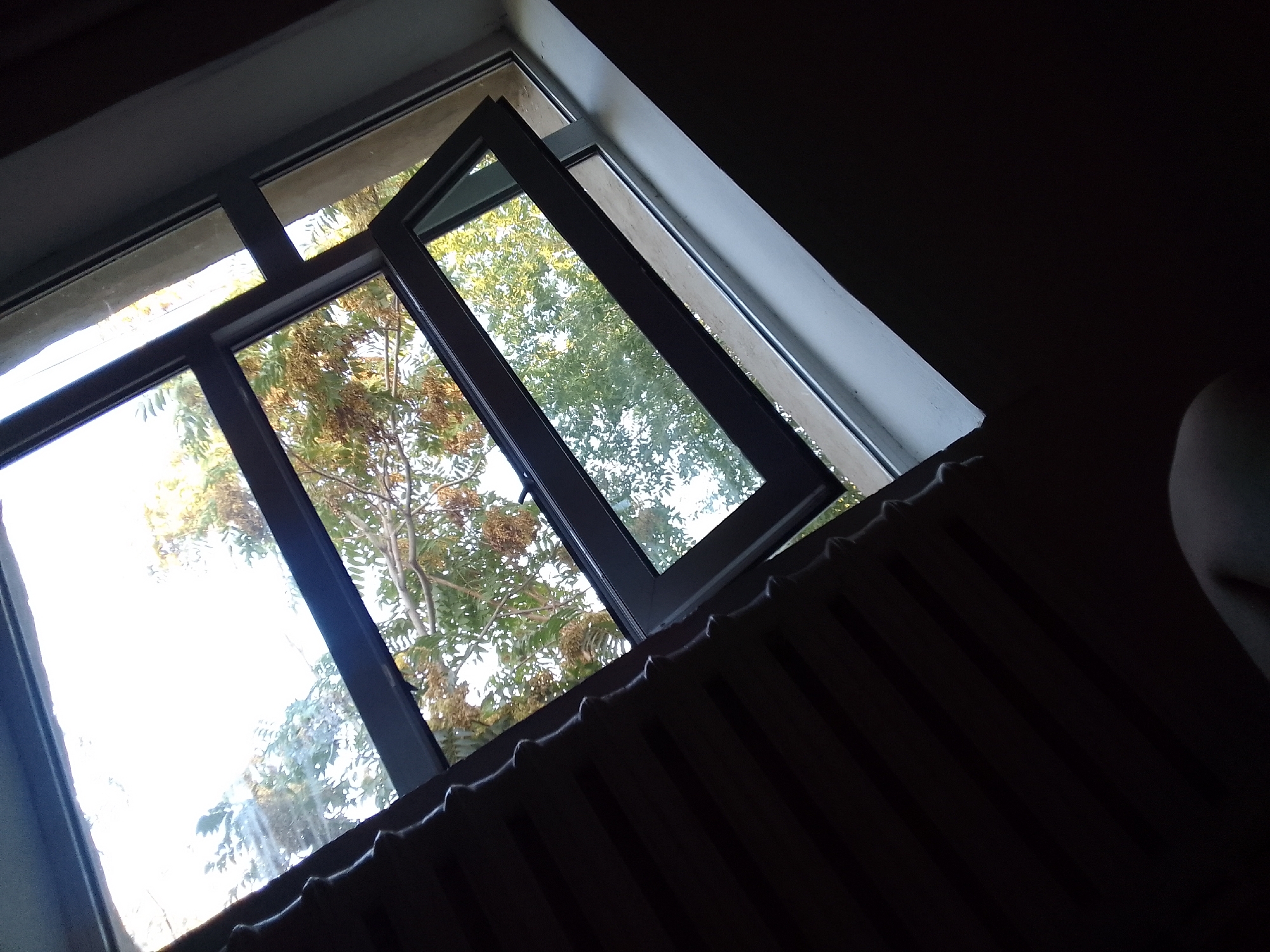 The image shows a close-up view of an open window with a view of trees outside, suggesting an outdoor scene. The window is framed by dark, possibly metal, window panes. Outside the window, green leaves and brown seed pods are visible on the tree branches. The lower part of the image is dominated by a dark, ribbed structure, which could be a radiator or part of the building's exterior. The overall lighting suggests it is daytime, with bright light coming through the window. The angle of the shot is looking upwards and slightly to the right, from inside a room. The location is identified as Taxtakópir, Uzbekistan.