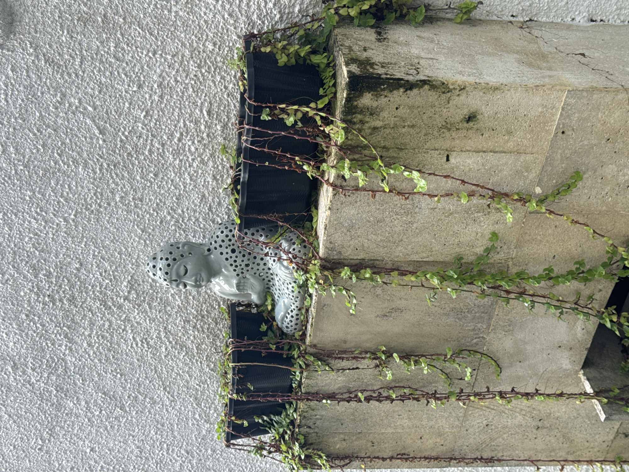 A low-angle, medium shot depicts a weathered, multi-tiered stone ledge adorned with climbing vines and a small, gray, perforated ceramic sculpture of a person's head. The ledge protrudes from a textured, white exterior wall. The sculpture is positioned to the left of the ledge, appearing to emerge from a dark, partially obscured planter box that is integrated into the ledge's structure. Vines with small, green leaves are seen trailing along the ledge and partially obscuring the wall. The overall setting suggests an exterior architectural detail in a location possibly within the city of Kuta Selatan, Indonesia, given the query.
