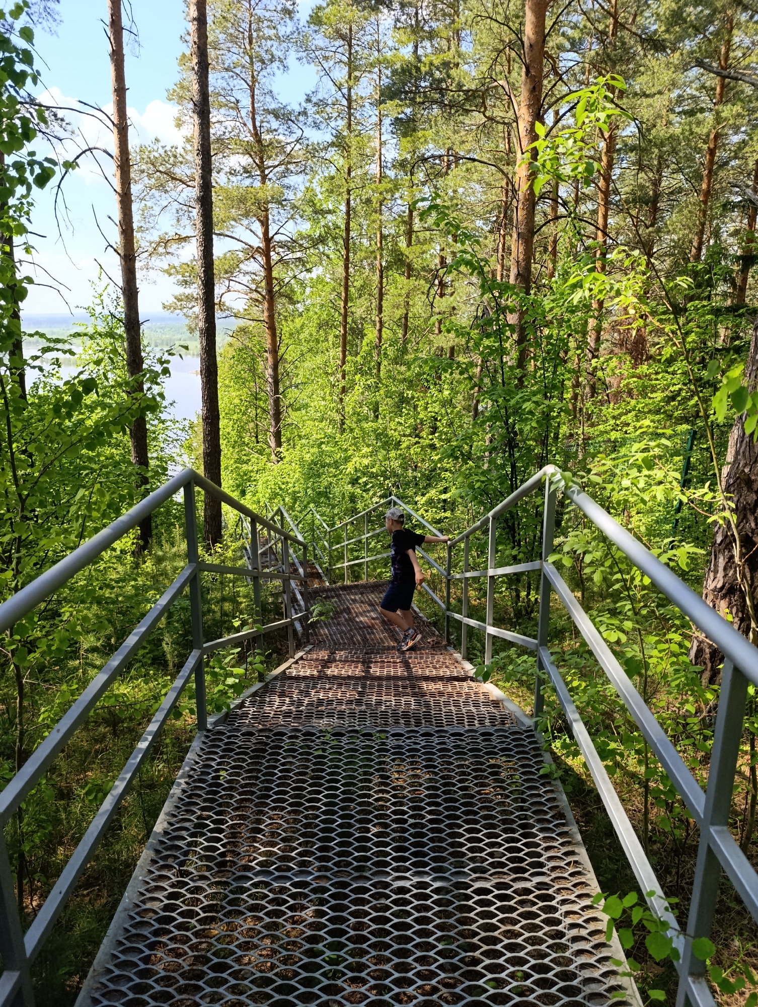 A boy stands on a metal grid walkway with metal railings on both sides, leading downhill through a wooded area with tall trees and green foliage. The walkway appears to be part of a staircase structure, although the steps themselves are not clearly visible. The background reveals a glimpse of water and sky, suggesting a lakeside or coastal location. The location is Unknown, Unknown.