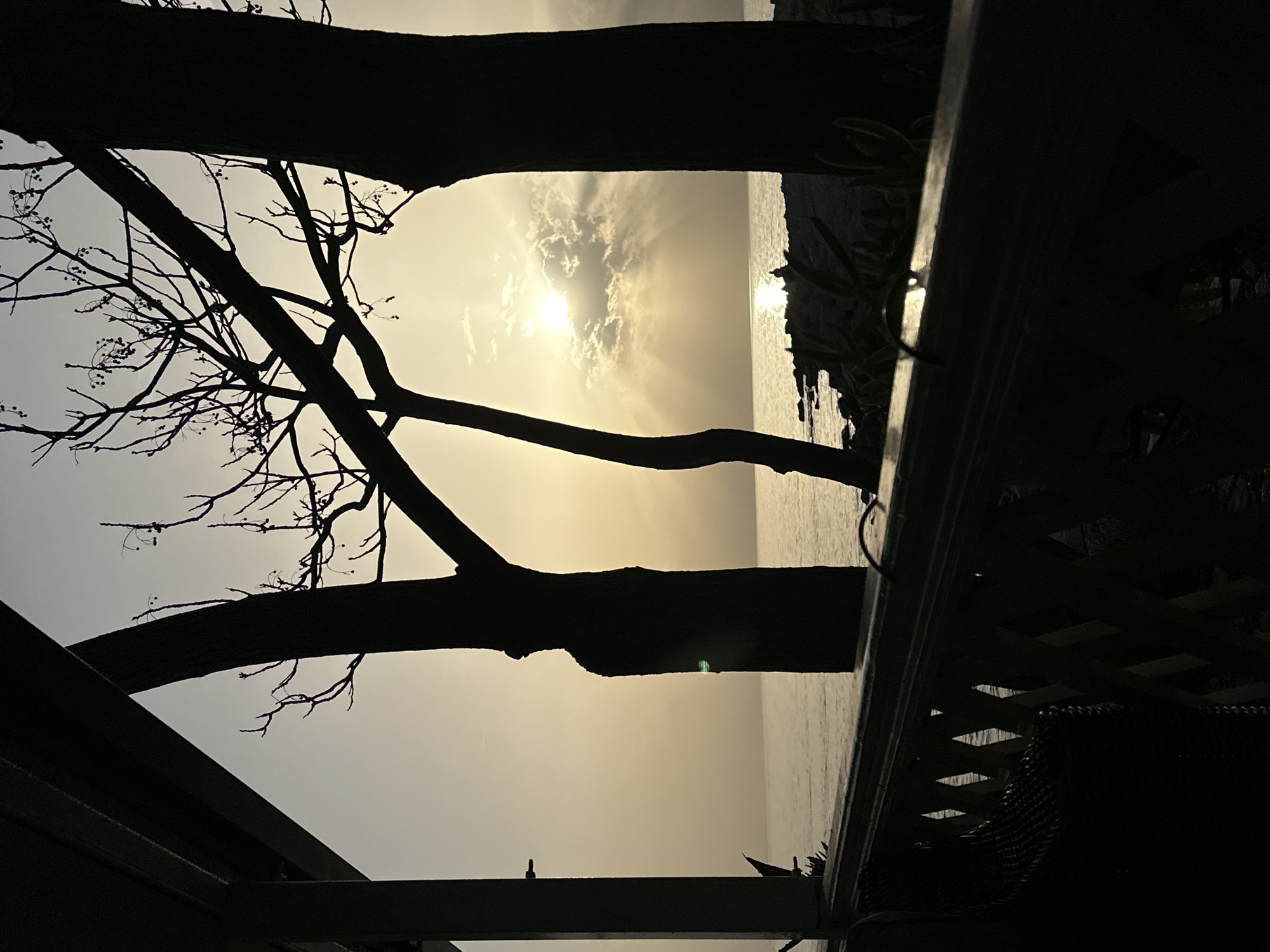 The image captures a sunset over the sea in Šušanj, Montenegro. Silhouetted trees frame the scene, with the sun partially obscured by clouds. The water reflects the sunlight, creating a shimmering effect. A wooden structure, likely a balcony or veranda, is partially visible in the foreground. No people are visible.
