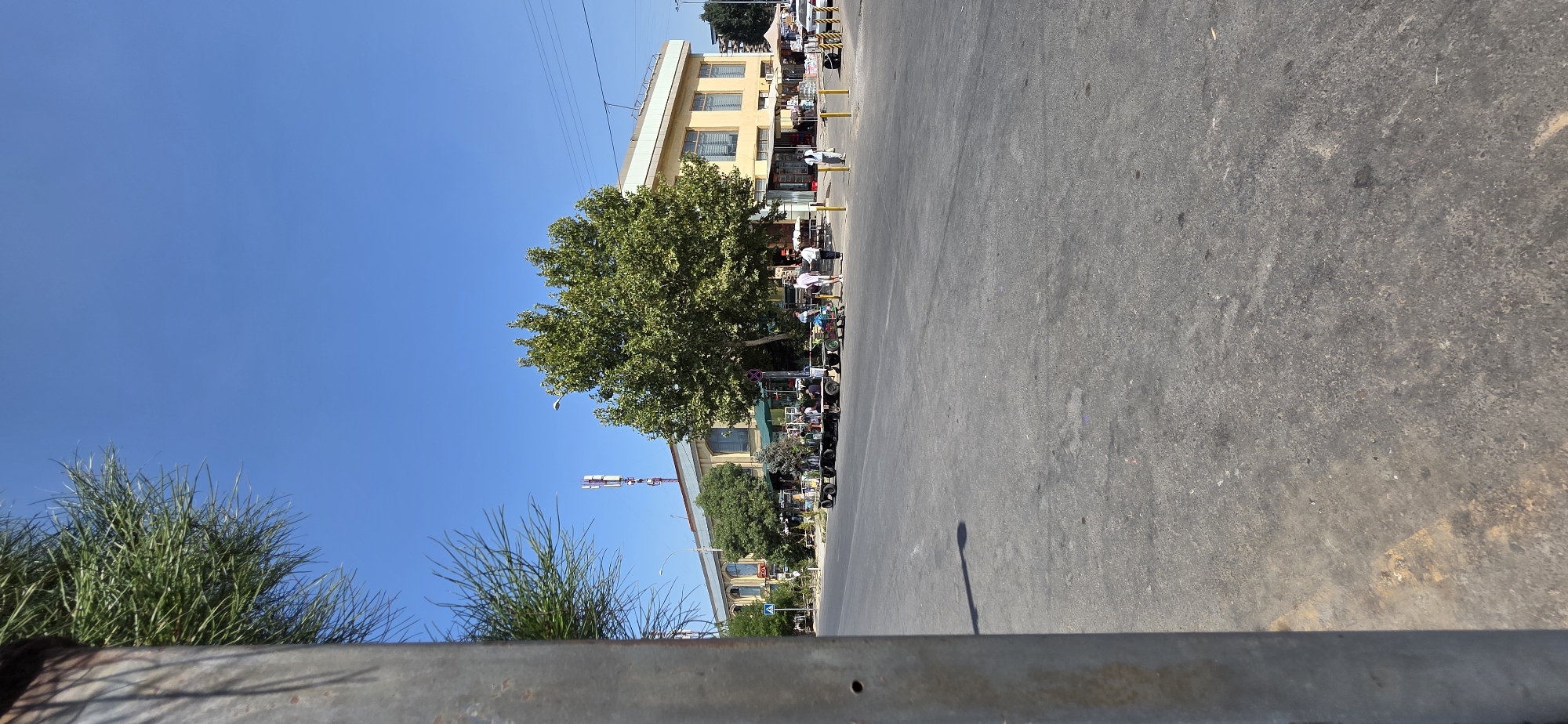 The image captures a street scene in Tashkent, Uzbekistan, on a clear, sunny day. In the foreground, a grey metal pole is partially visible on the left, with green pine needles also encroaching into the frame from the top left. The street itself is asphalt with some visible tire marks and scattered debris. Across the street, a long, light-yellow building with a white roofline dominates the mid-ground. The building has numerous arched windows and appears to house various shops or stalls, indicated by awnings and signs visible.
In front of the building, several flatbed carts are arranged along the sidewalk, some loaded with produce or goods, and people are seen interacting with them. A large, leafy green tree stands prominently in front of the building, casting a shadow on the street. Further down the street, more trees and storefronts are visible, along with power lines and a cell tower in the distance. Several individuals are walking or standing around the carts and the building entrance. The overall impression is of a busy marketplace or commercial area on a warm day.
