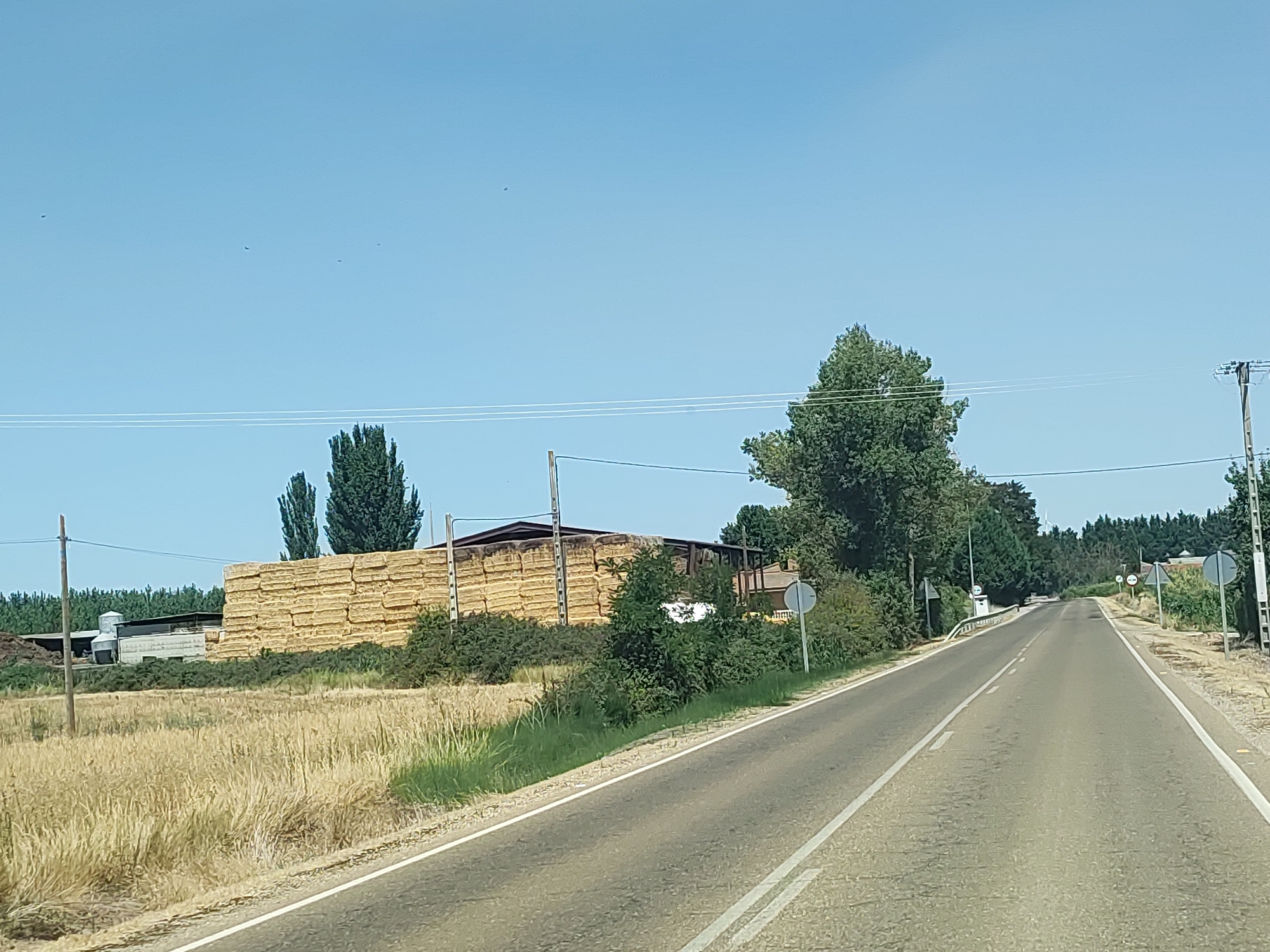 The image shows a rural scene in Spain. A paved road runs through the center of the frame, leading towards a distant horizon under a clear blue sky. On the left side of the road, a field of dry, golden grass stretches out, bordered by a large stack of rectangular hay bales. Behind the hay bales, a farm building with a gray silo and other structures can be seen. Several tall trees are present in the scene, with a dense line of trees forming the background on the right. There are also utility poles and wires visible, indicating the presence of infrastructure. The overall impression is one of an agricultural landscape on a sunny day.