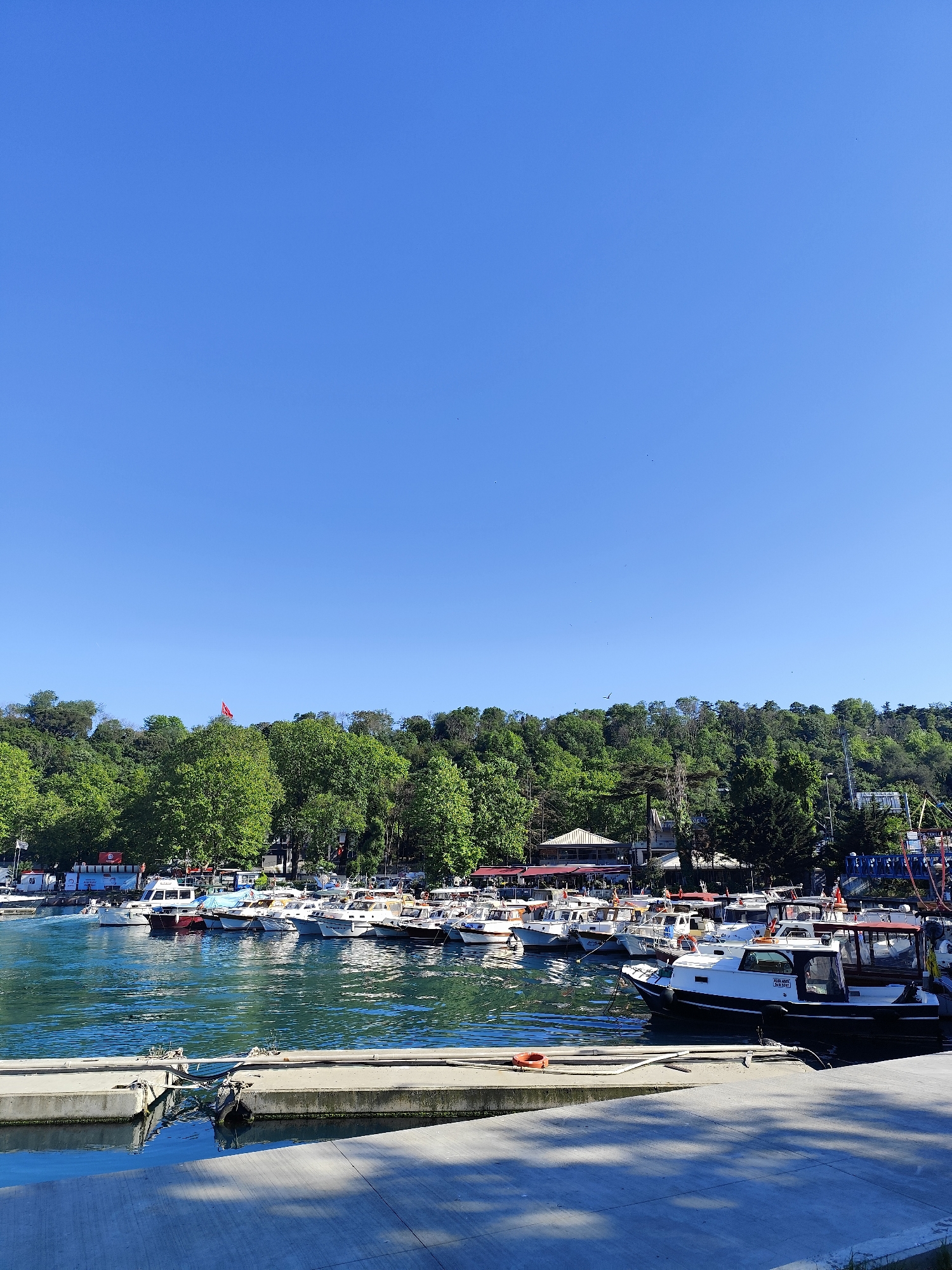 The image depicts a marina in Sarıyer, Turkey, filled with a variety of boats. A concrete pier stretches into the water, with several boats docked alongside it. Lush green trees cover a hill in the background, and a Turkish flag flies atop a pole on the crest of the hill. The sky is a clear, bright blue. The atmosphere appears calm and peaceful, with the sun casting shadows on the pier.