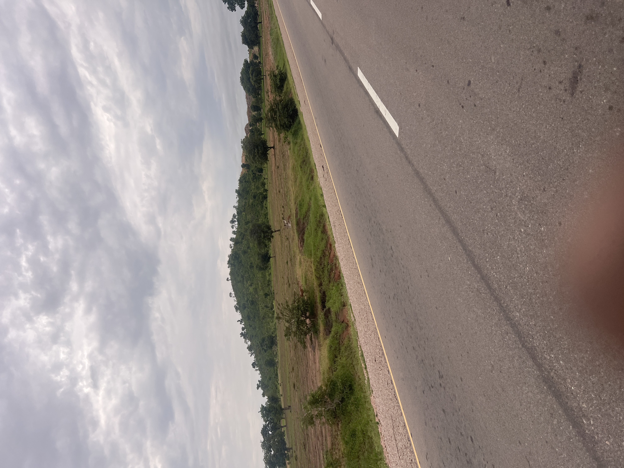 The image shows a roadside view in Minda, Nigeria. The primary subjects are a paved road with a white dashed line and a yellow solid line, and a grassy area with scattered trees and vegetation bordering the road. A hilly, tree-covered landscape is visible in the background. The sky is overcast with diffused light, suggesting a cloudy day. The perspective is from a slightly elevated viewpoint, possibly from a vehicle in motion, given the angle and the slight blur in some areas. No people are visible in the image. The overall mood is neutral, depicting a typical rural or semi-rural roadside environment. There is no visible text in the image.
