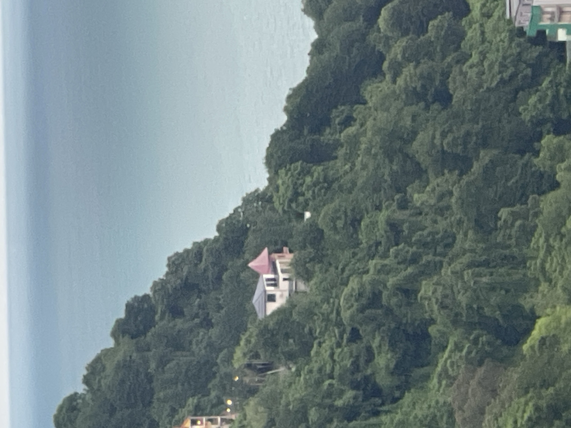 The image shows a house on a green, forested hillside overlooking a body of water, likely the Black Sea. The house has a white facade with dark windows and a distinctive pink conical roof on one section, suggesting a modern architectural style. Several other buildings are partially visible on the hillside, including a yellow building to the left and a multi-story building at the bottom right, indicating the proximity to an urban area. The vegetation is dense, with lush green trees and foliage covering the slope. The water appears calm and light blue, meeting the horizon under a hazy sky. The scene captures a residential area nestled into the natural landscape of Batumi, Georgia, known for its coastal location and hilly terrain.