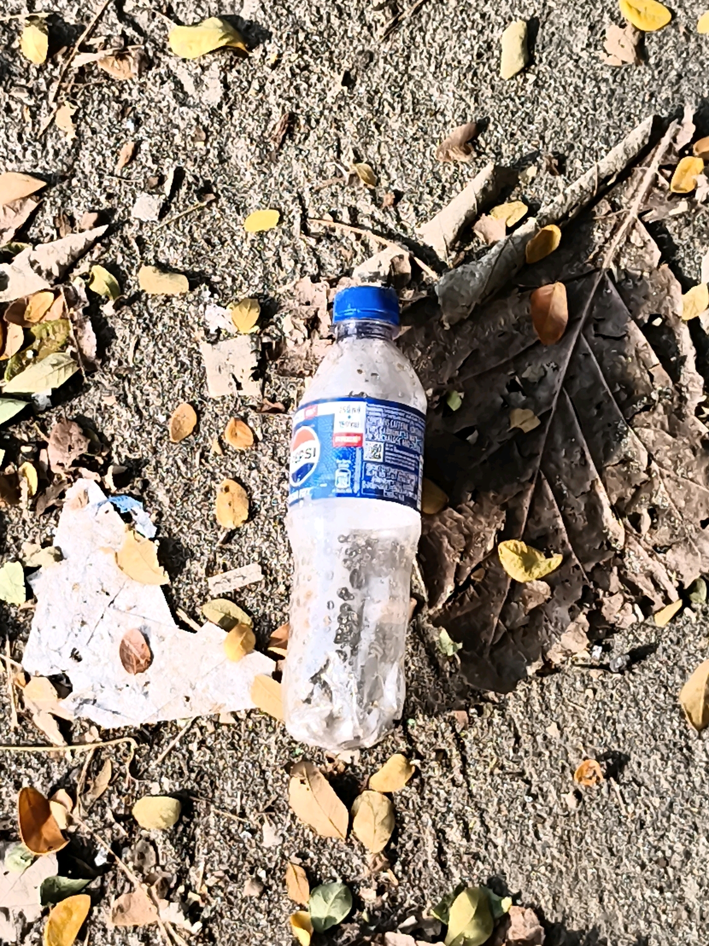 A plastic Pepsi bottle, partially filled with liquid and showing condensation, rests on a gravelly surface strewn with fallen leaves and debris. The bottle has a blue cap and a white label with blue lettering, part of which is obscured by condensation. The background consists of rough, granular ground and large, dry leaves, one of which is particularly prominent and textured. The lighting suggests a sunny environment, casting shadows from the leaves and bottle. The scene appears to be outdoors in a location that could be a park, street, or pathway in Gudalur, India, given the dry leaves and gravel. There are no people or animals visible in the image.