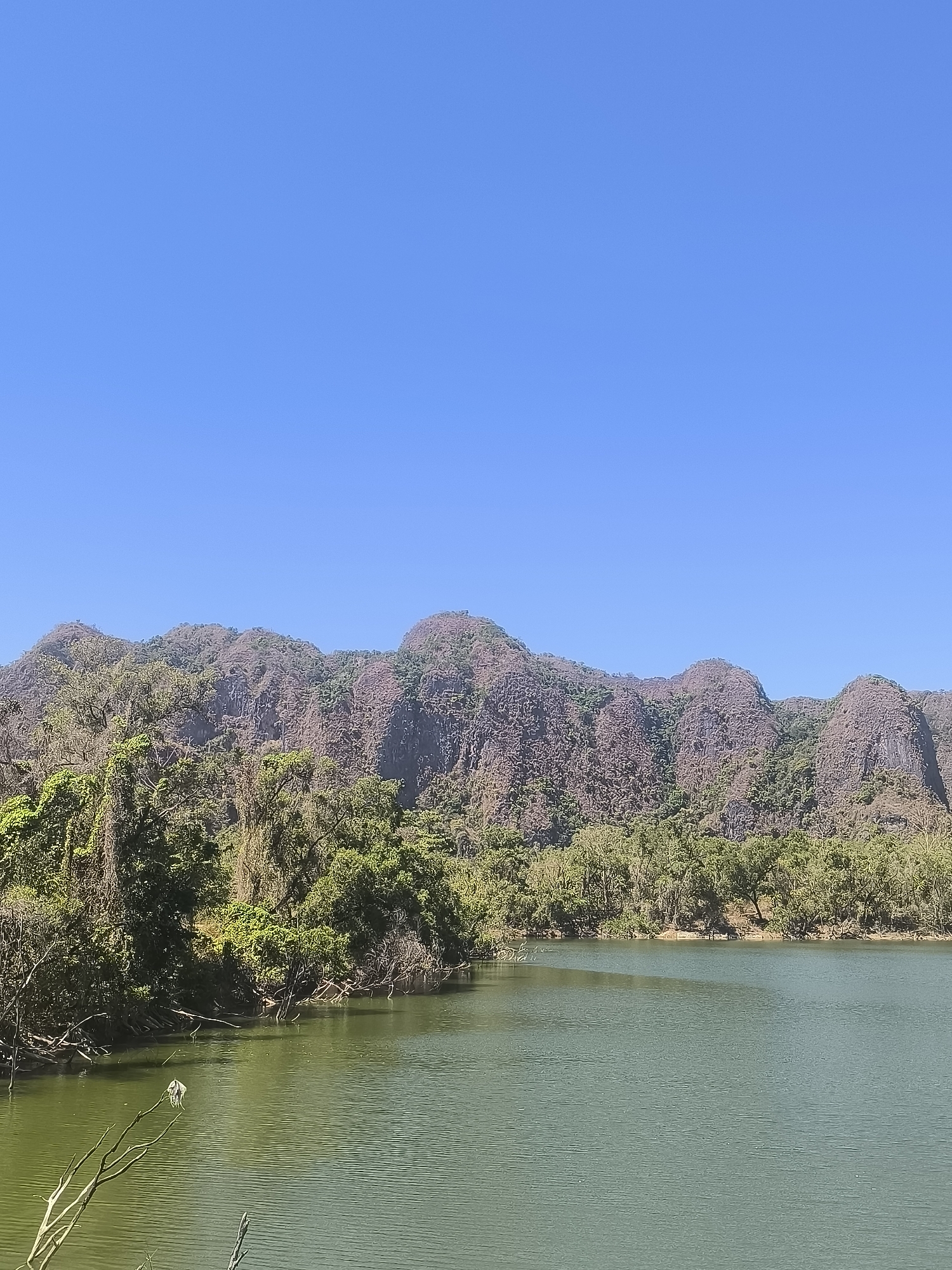 The image depicts a serene natural landscape under a clear blue sky. In the foreground, a calm body of water, possibly a lake or river, occupies the lower half of the frame. The water has a greenish hue and exhibits gentle ripples. On the left side of the water's edge, several bare branches extend into the frame, with a small, white, fluffy object perched on one of them.
Behind the water, a dense line of lush green trees forms a verdant border. These trees are varied in size and shape, with some appearing to be climbing or entwined with others. The vegetation is thick and vibrant, suggesting a tropical or subtropical environment.
Further back, a range of rugged, mountainous terrain rises majestically. The mountains are characterized by their steep slopes and rocky, uneven surfaces, covered in a mix of sparse vegetation and bare earth, predominantly in shades of brown and purple. The overall impression is one of natural beauty and tranquility. The scene is likely located in the vicinity of Kalabbur, Indonesia, given the description. There are no people or visible human activity in the image.