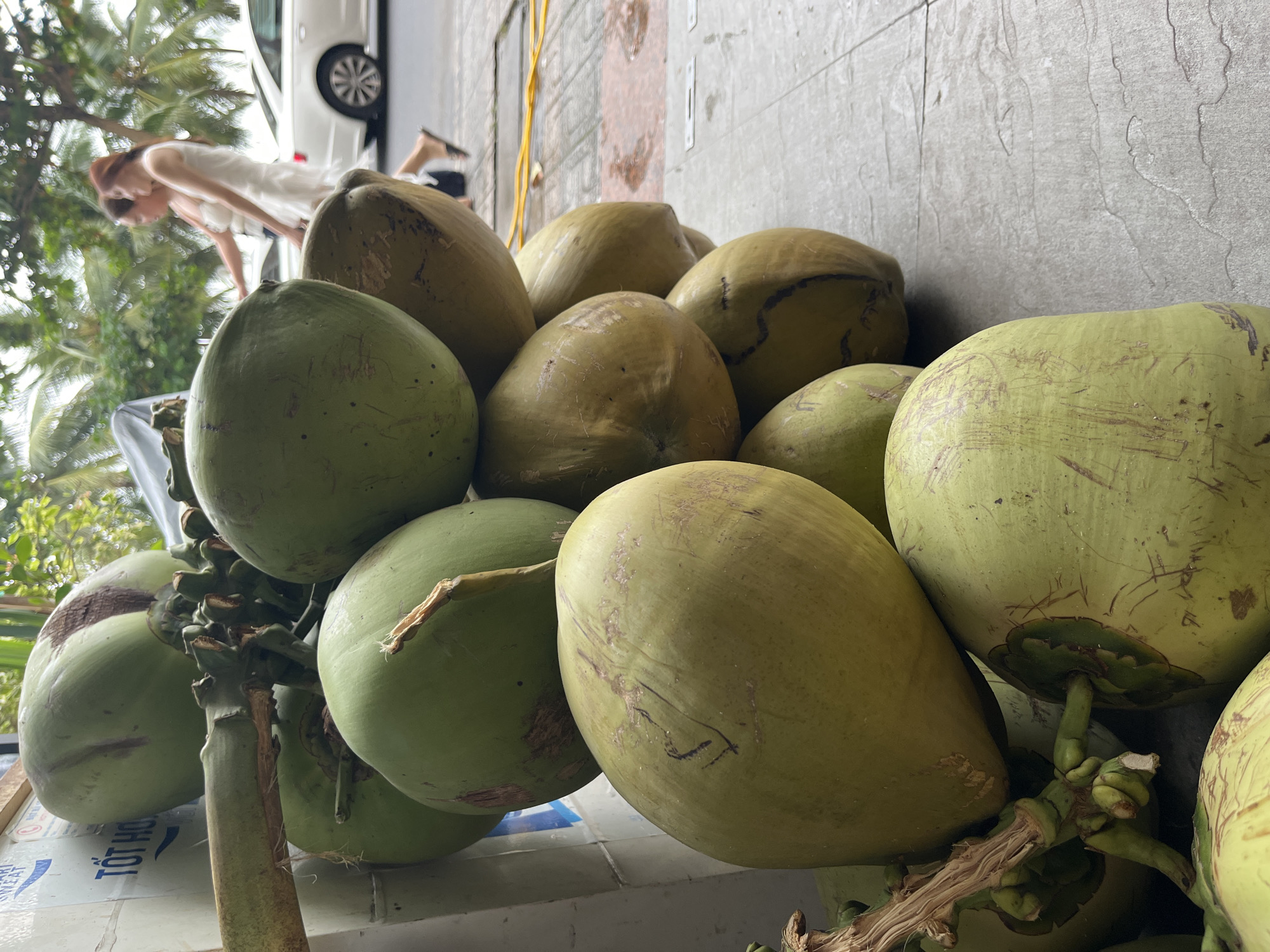 The image depicts a large pile of green coconuts stacked on a tiled surface outdoors. The coconuts vary in color, with some appearing more yellow-green. In the background, partially obscured by the coconuts, there is a person wearing a white dress bending over. Behind the person is a white car and some green foliage. To the right of the coconuts, the tiled surface transitions to a grey textured wall. A yellow cord runs along the wall.