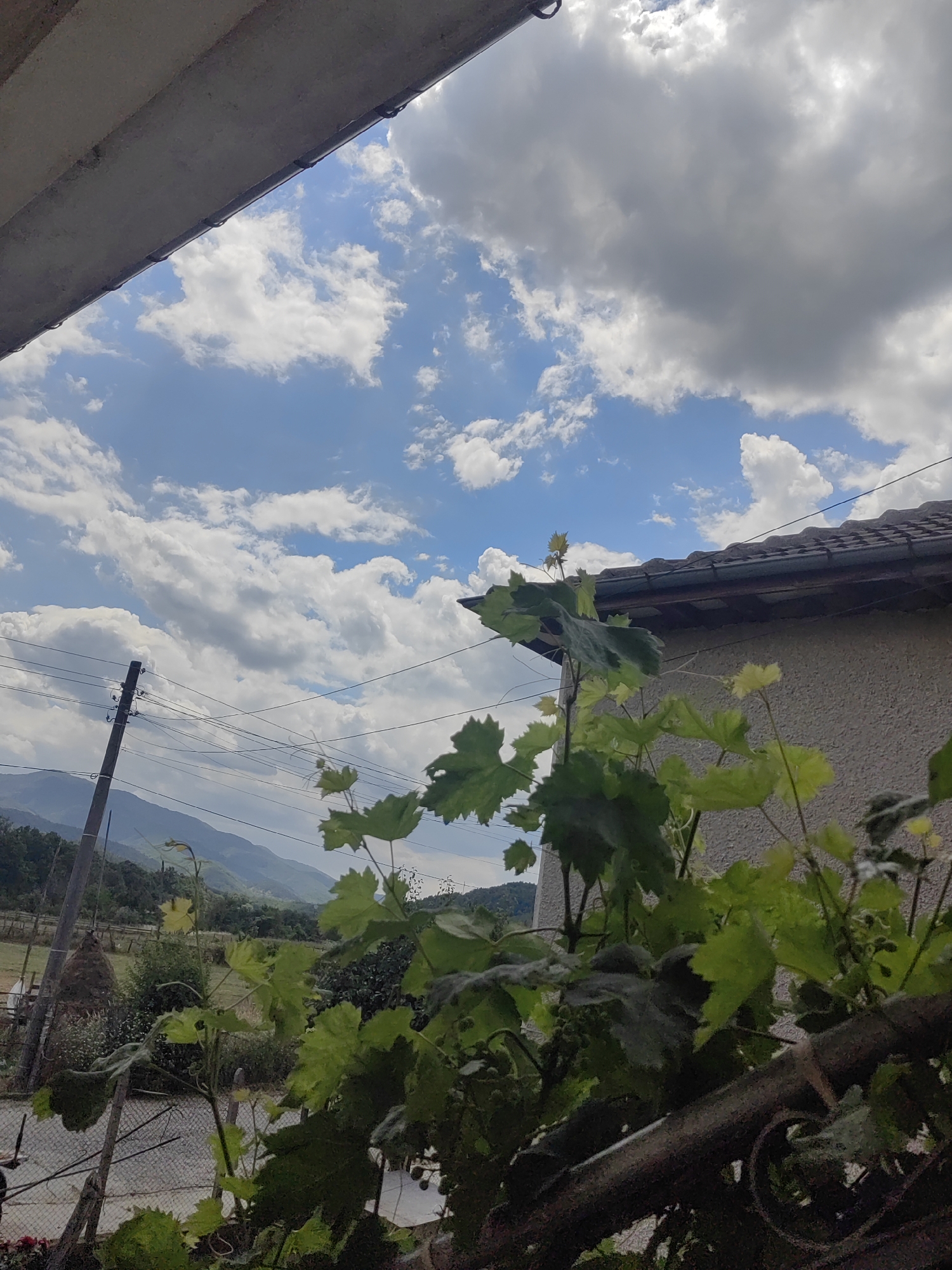 The image depicts a cloudy sky over a rural scene in Djerovo, Bulgaria. In the foreground, lush green vine leaves and tendrils are prominent, some obscuring a dark, textured railing. Behind the foliage, a light-colored, textured wall of a building is visible, topped by a dark-tiled roof. A utility pole with multiple wires stretches across the frame towards the left. In the background, rolling hills and mountains are visible, shrouded in a light haze. A haystack stands in a field to the left of the utility pole. The overall impression is one of a slightly overcast day in a rustic, outdoor setting.