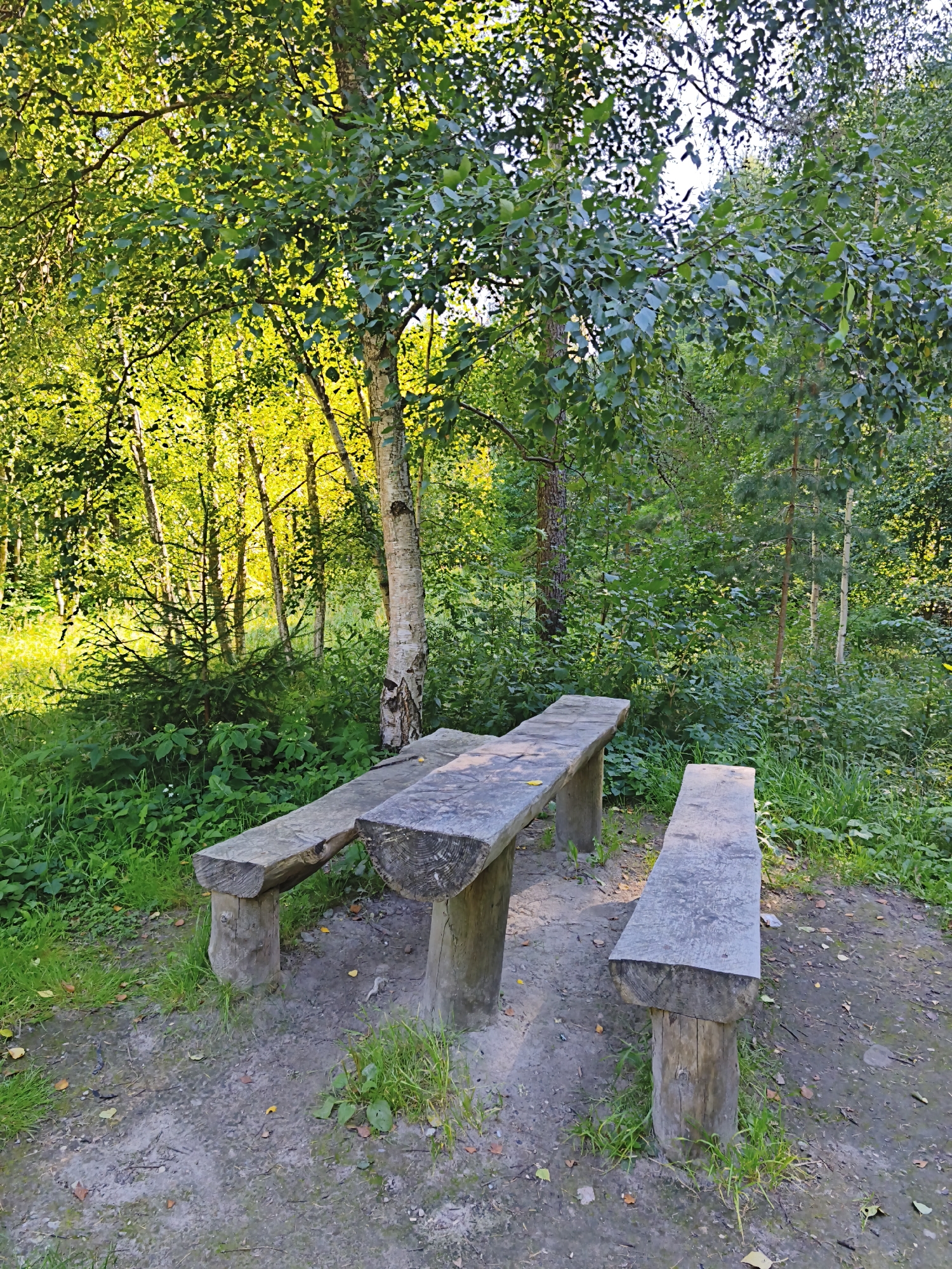 A wooden picnic table with benches is situated in a clearing within a forest, likely in Maardu, Estonia. The table and benches are constructed from rough-hewn logs, showing a natural, rustic aesthetic. Sunlight filters through the dense green foliage of the surrounding trees, casting dappled light on the ground. The ground itself is a mix of dirt, fallen leaves, and sparse grass. The environment appears tranquil and natural, suggesting a recreational area within a forested park or woodland. There are no people or animals visible in the image.