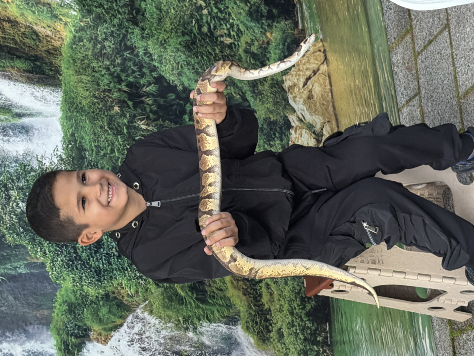 A young boy with short dark hair and a black jacket smiles while holding a large, patterned snake in front of a backdrop depicting a waterfall and lush greenery. The boy sits on a beige folding stool. The location is not apparent from the image and cannot be determined to be in Pleven, Bulgaria.