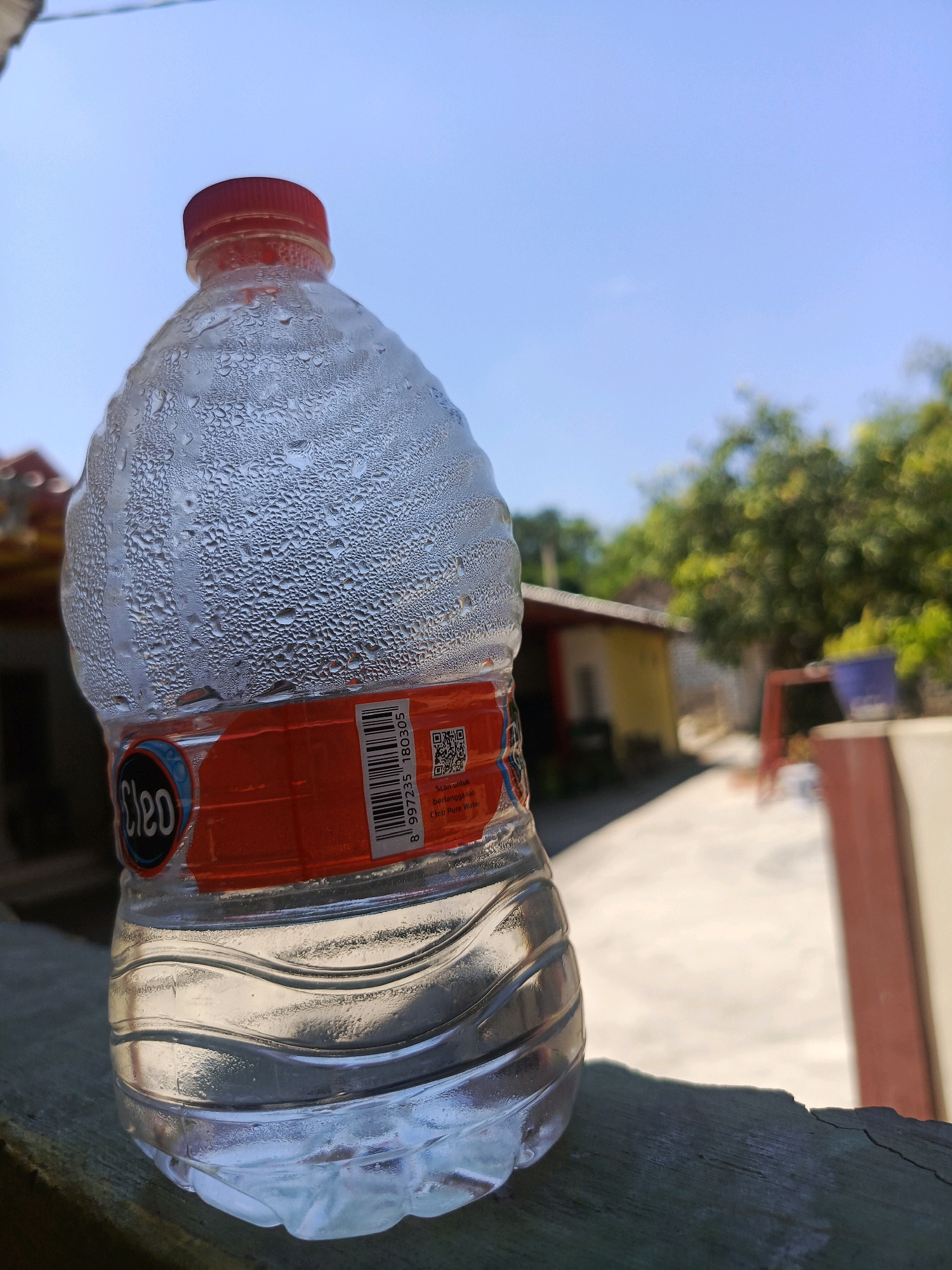 A close-up, low-angle shot captures a sweating plastic bottle of Cleo Pure Water resting on a textured, weathered wooden surface. The bottle, partially filled with clear water, is condensation-covered, with small water droplets dotting its surface. An orange label with the "Cleo" logo is visible on the bottle. In the background, out of focus, is a sunlit outdoor scene featuring a pathway between two buildings, one with yellow and brown walls, and lush green trees under a clear blue sky. The overall impression is one of a refreshing beverage on a warm day, likely in a residential area of Pamekasan, Indonesia, given the architecture and foliage.