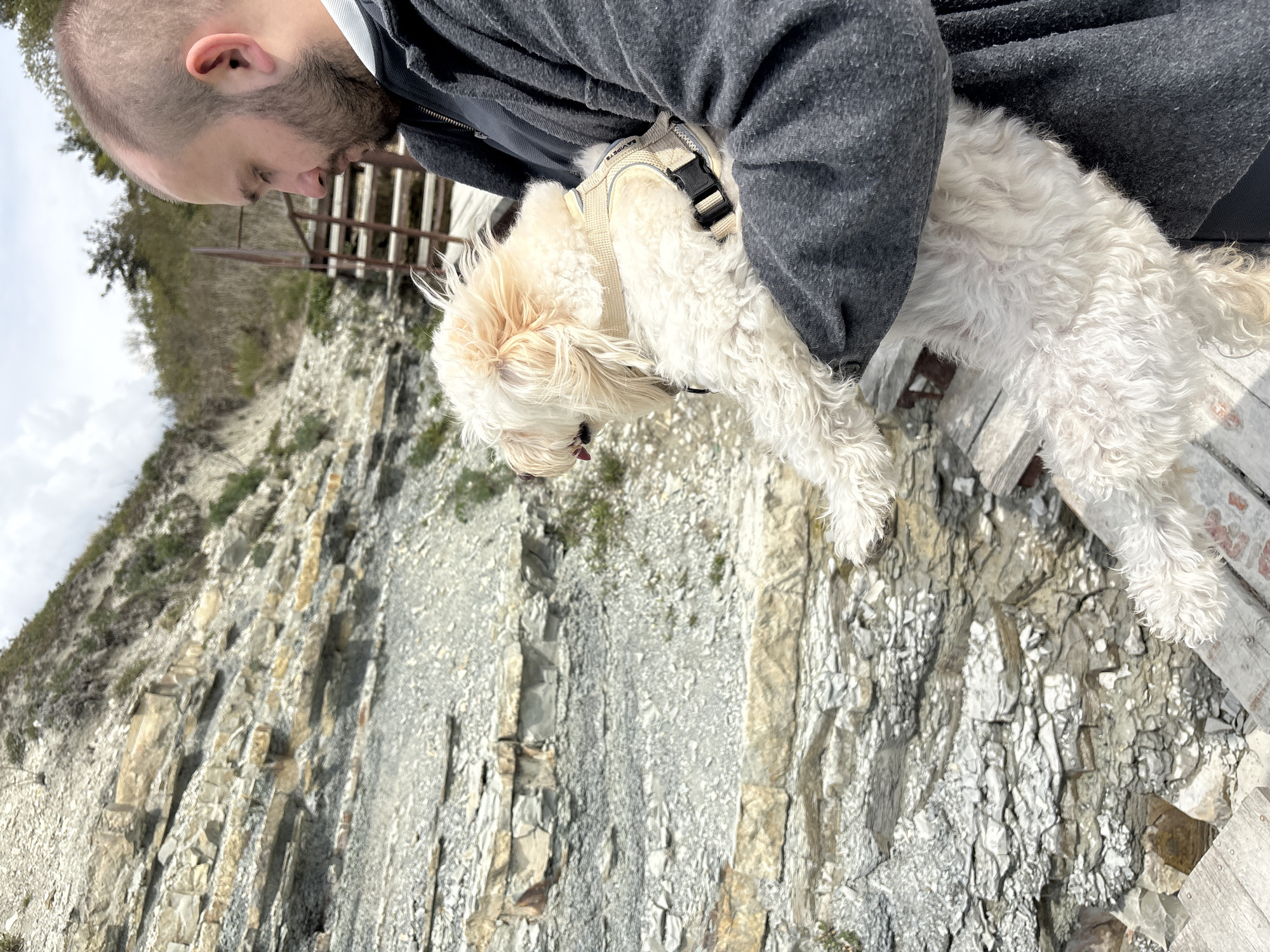 The image captures a man holding a small dog outdoors against a dramatic rocky cliff face, set in Gelendzhik, Russia. The scene appears to be taking place during the daytime under an overcast sky.
The main subjects are a man and a small, fluffy dog. The man, seen from the chest up in profile, has a bald head and a short beard. He is wearing a dark grey jacket over a white top and is looking downwards. His arms are holding the dog close to his body.
The dog is a light-colored, possibly beige or white, fluffy breed, wearing a light beige harness with a black buckle. The brand name "SAVDOG" is visible on the harness strap. The dog is also looking downwards, seemingly observing the same view as the man.
The background features a steep, layered rock cliff composed of various grey and beige strata, suggesting a geological formation. Sparse green vegetation grows on parts of the cliff. A rustic wooden structure, possibly part of a railing or platform, is partially visible behind the man and dog. The image conveys a moment of shared observation and connection between the man and his pet amidst a striking natural landscape.