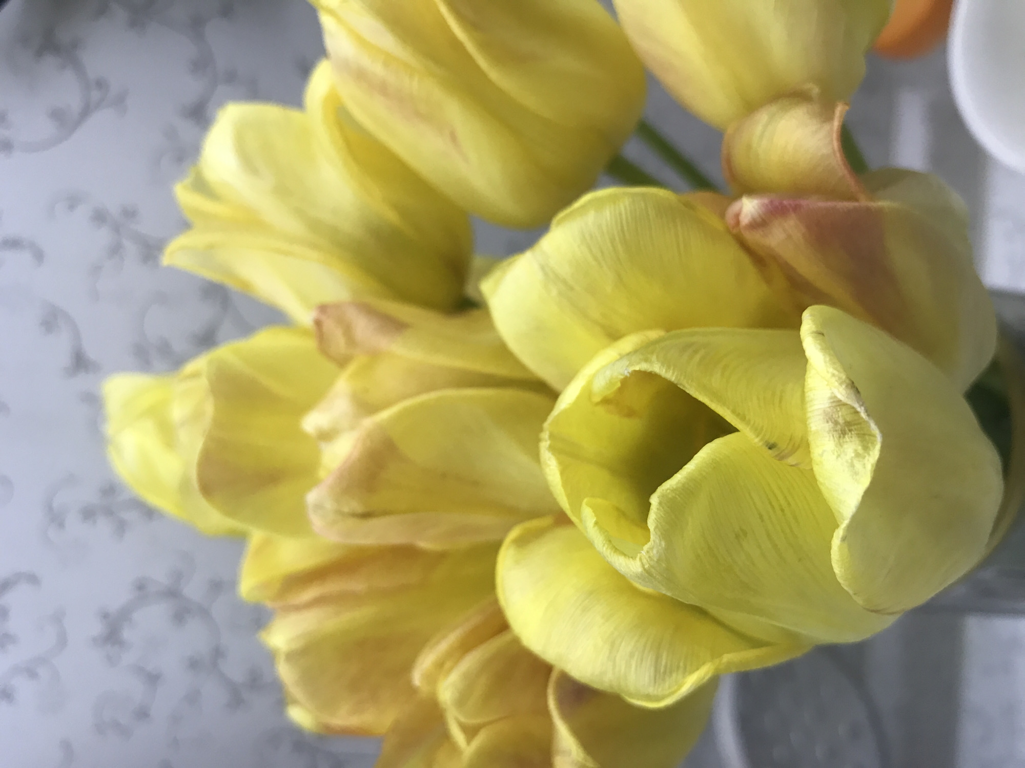 The image shows a close-up of a bouquet of yellow tulips. The flowers are in various stages of bloom, with some petals slightly curled and others fully open. There are subtle variations in color on the petals, with some showing hints of orange or reddish hues. The background is a light gray with a subtle floral pattern. Based on the information provided, the image is assumed to be taken in the city of Kharkiv, Ukraine.