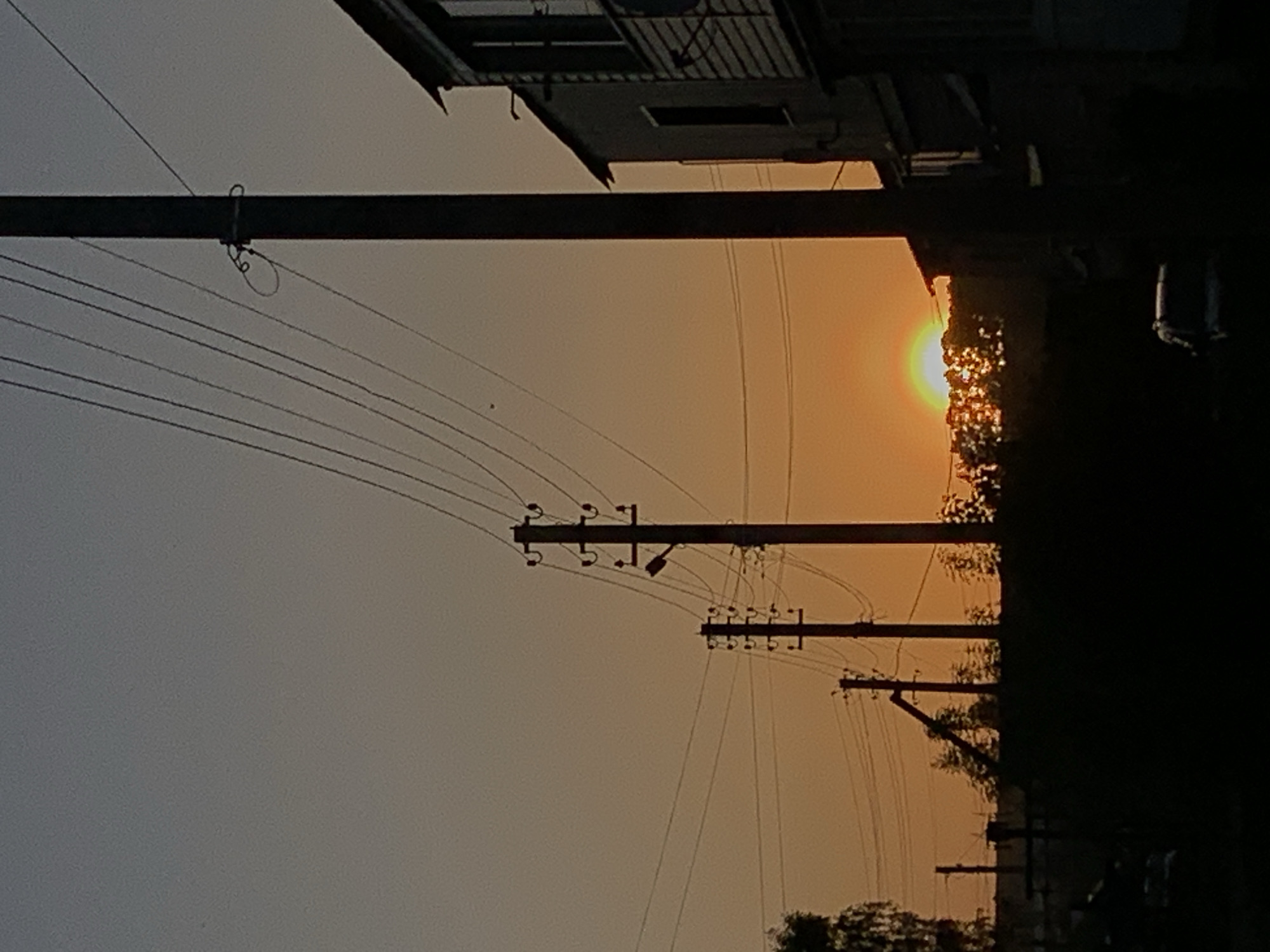 A low-angle shot of a sunset over the Russian city of Фоки. The sky is a pale orange fading to gray, and the setting sun is visible through tree branches. There are three rows of power lines, with black wooden poles, running across the image. In the foreground and upside down, there is a section of building. The silhouettes of trees are on the right of the image.