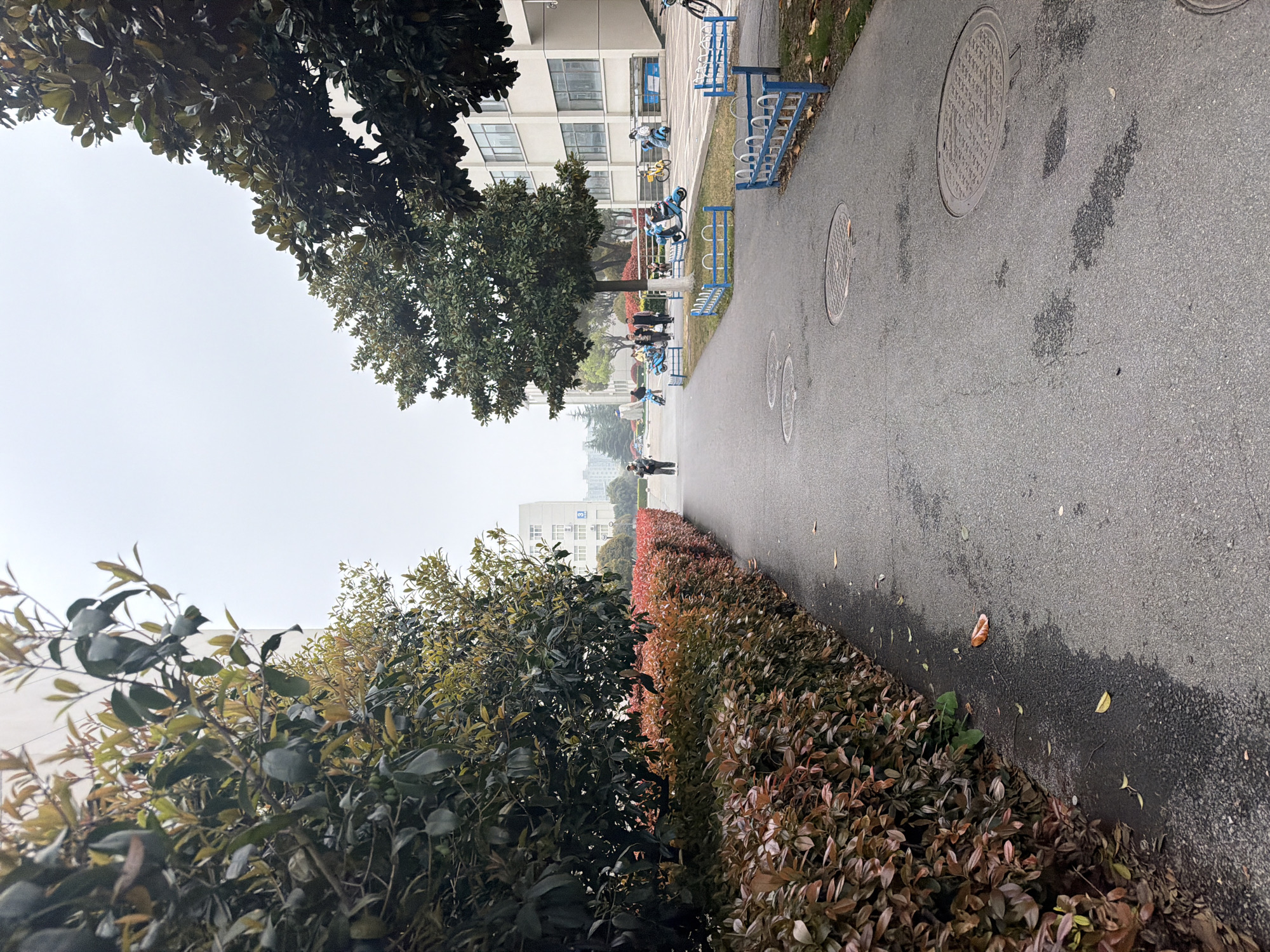 The image depicts a paved walkway in Jiangning District, China. The walkway is flanked by greenery, including a row of hedges transitioning from green to reddish-brown on the right. Trees overhang from the left side. In the distance, buildings are visible under a cloudy sky. The walkway is wet in some areas, and has circular manhole covers. Benches and bicycle racks are also visible. People are walking along the path in the distance.