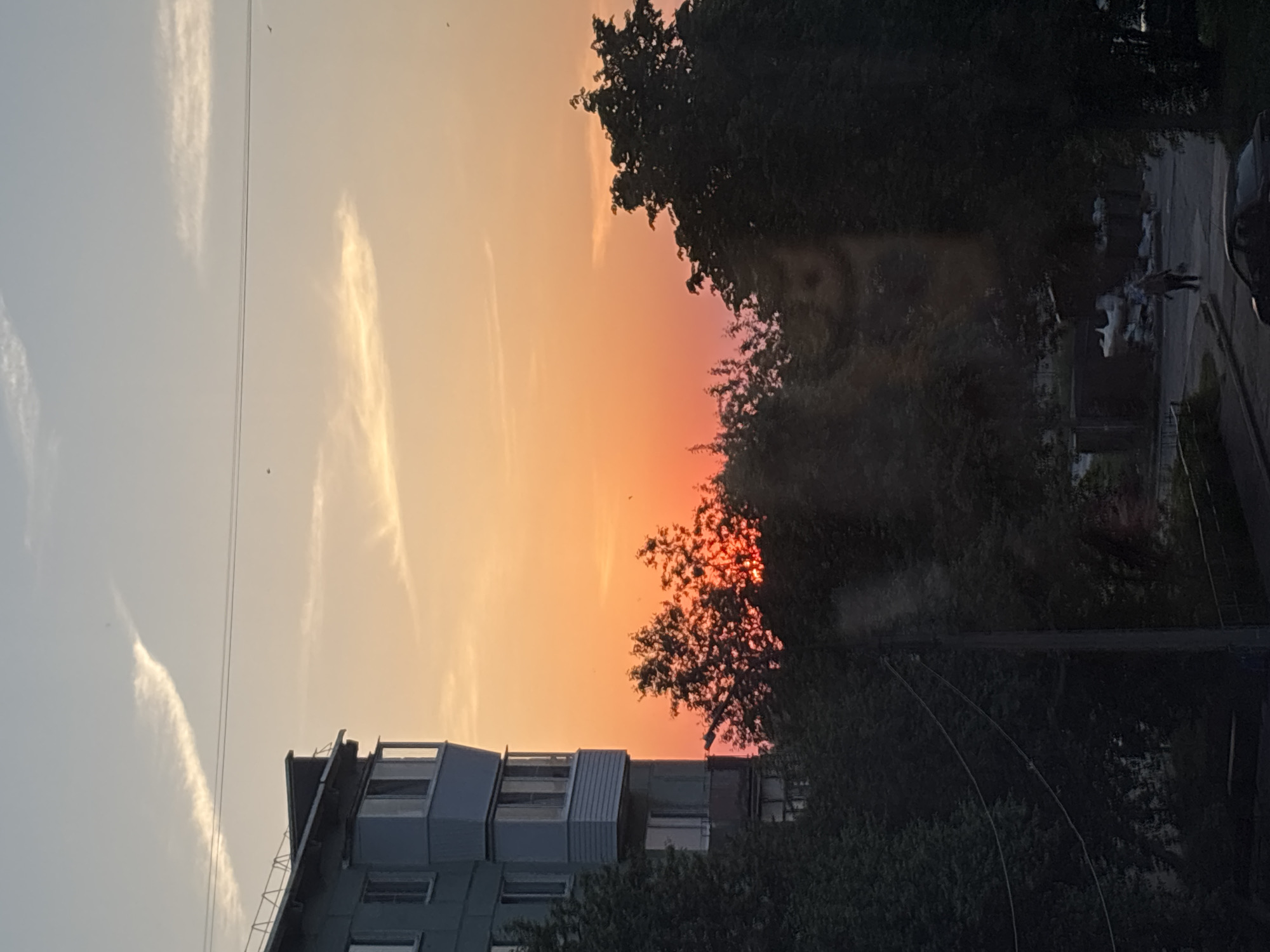The image shows a sunset in Chaikovsky, Russia. The sky is a gradient of orange and pale blue with wispy clouds. The sun is partially obscured by trees. An apartment building is visible in the lower left of the frame. A street with a pedestrian and cars is visible on the right, behind the trees. Power lines cross the sky.