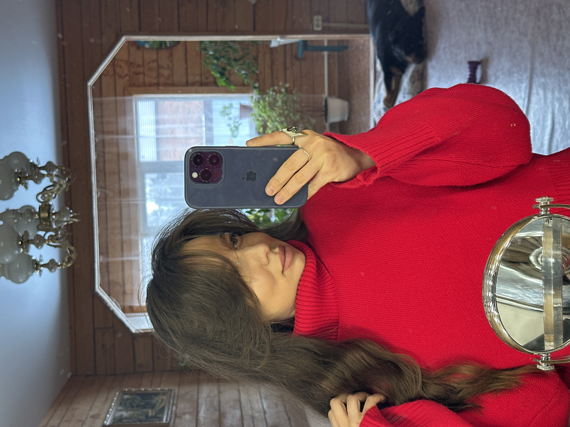 A woman in a red turtleneck sweater holds a blue iPhone in front of a mirror, capturing a selfie. The mirror reflects a room with wood paneling, a window with greenery visible outside, and a chandelier. A dog's hindquarters appear in the background of the reflection. The image does not contain information about the location in Kazan, Russia.