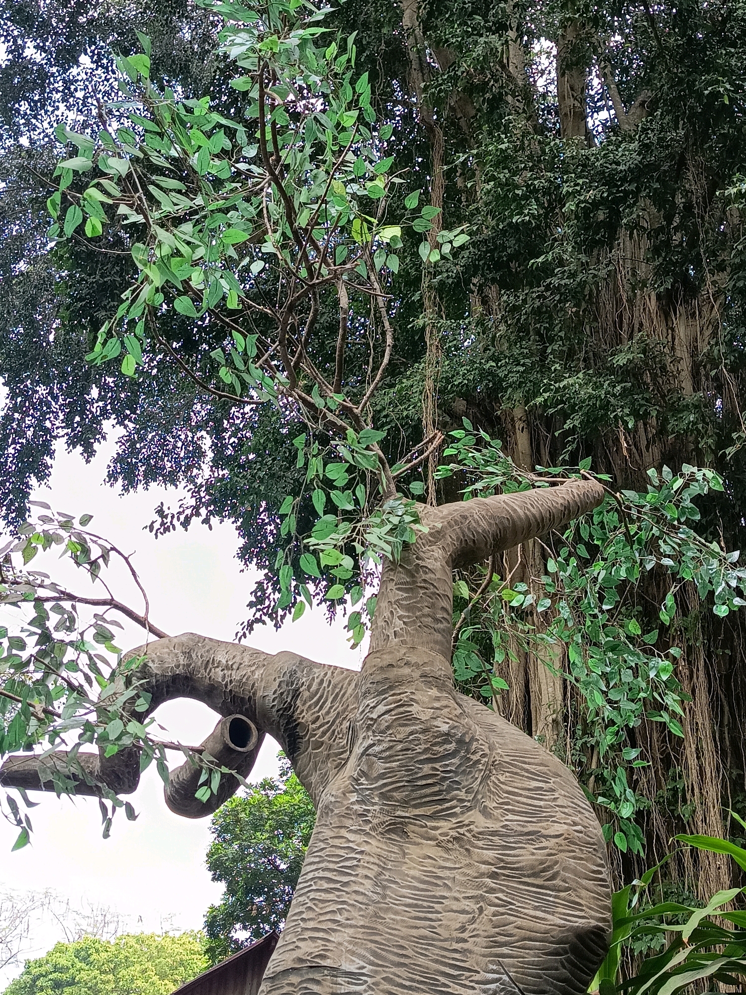 The image shows a close-up view of a large, intricately carved tree sculpture with textured bark. The sculpture is positioned in the foreground, with its curved trunk and branches reaching upwards. Several artificial green leaves are attached to the branches of the sculpture, creating a contrast with the natural, darker green foliage of a large banyan tree in the background. The banyan tree has numerous aerial roots hanging down, characteristic of its species. The sky is visible through the canopy of the banyan tree, appearing bright and overcast. In the lower part of the image, glimpses of other green foliage and a dark, sloped structure are visible, suggesting an outdoor setting, possibly a garden or park.
This scene is located at Taman Pintar Science Park in Yogyakarta, Indonesia. The specific tree sculpture is a part of the park's educational exhibits, designed to represent various aspects of nature and science.