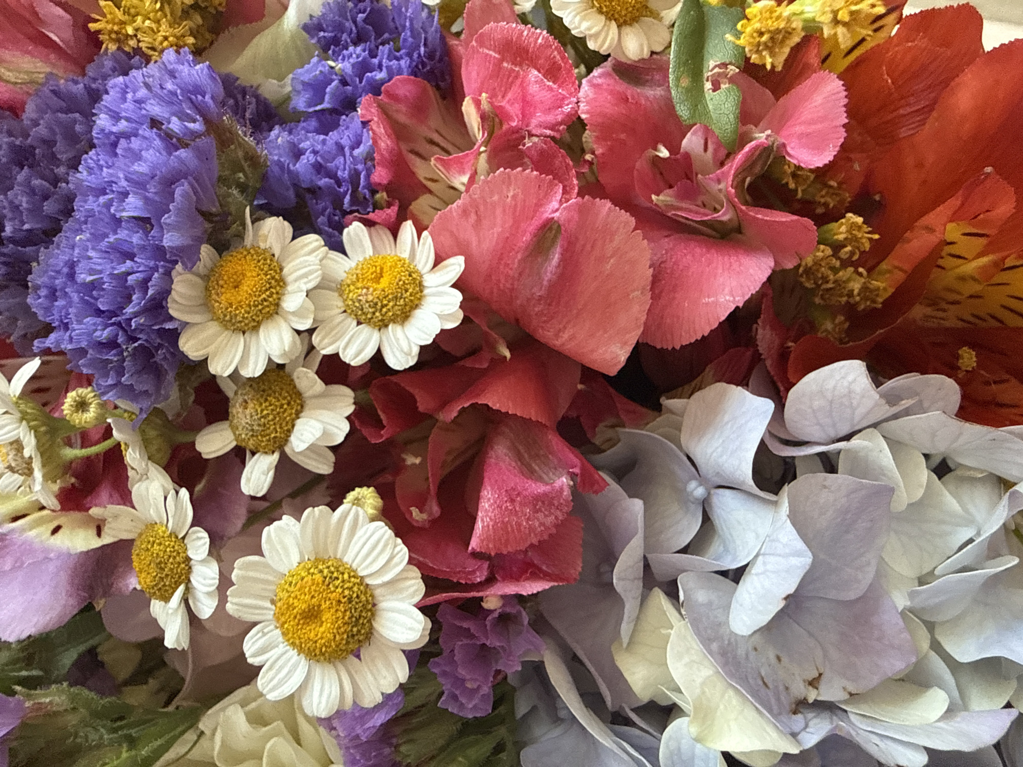 A close-up, overhead view shows a colorful bouquet of various flowers. Dominant colors include shades of purple, pink, white, and red, with yellow accents from the centers of daisy-like flowers and other small blooms. The bouquet appears to be tightly arranged, with different flower types overlapping and creating a textured visual. There are no visible people, actions, or interactions. The image does not contain any contextual information about its location in Sochi, Russia.